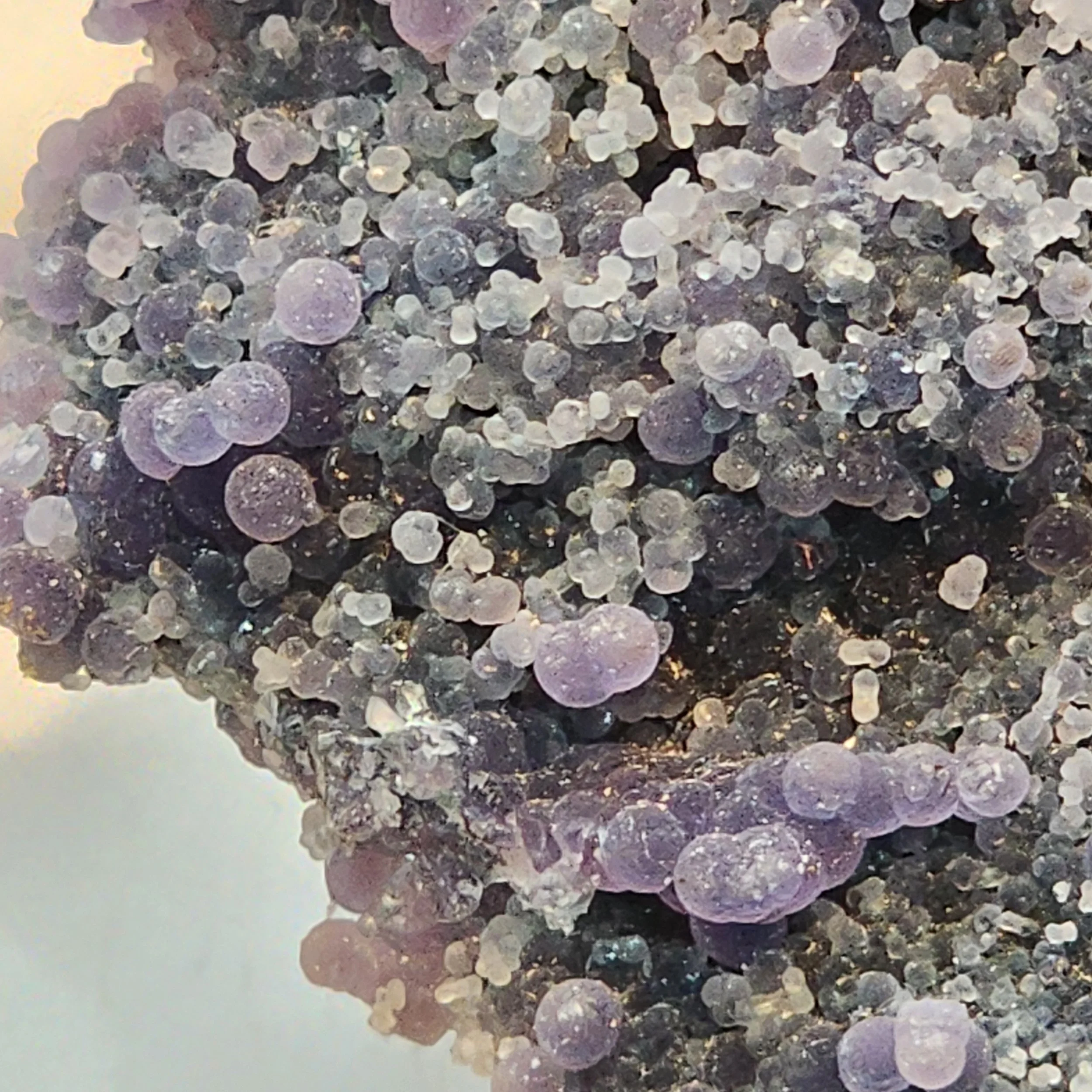 SPCM-GRAPE-001-7.jpg