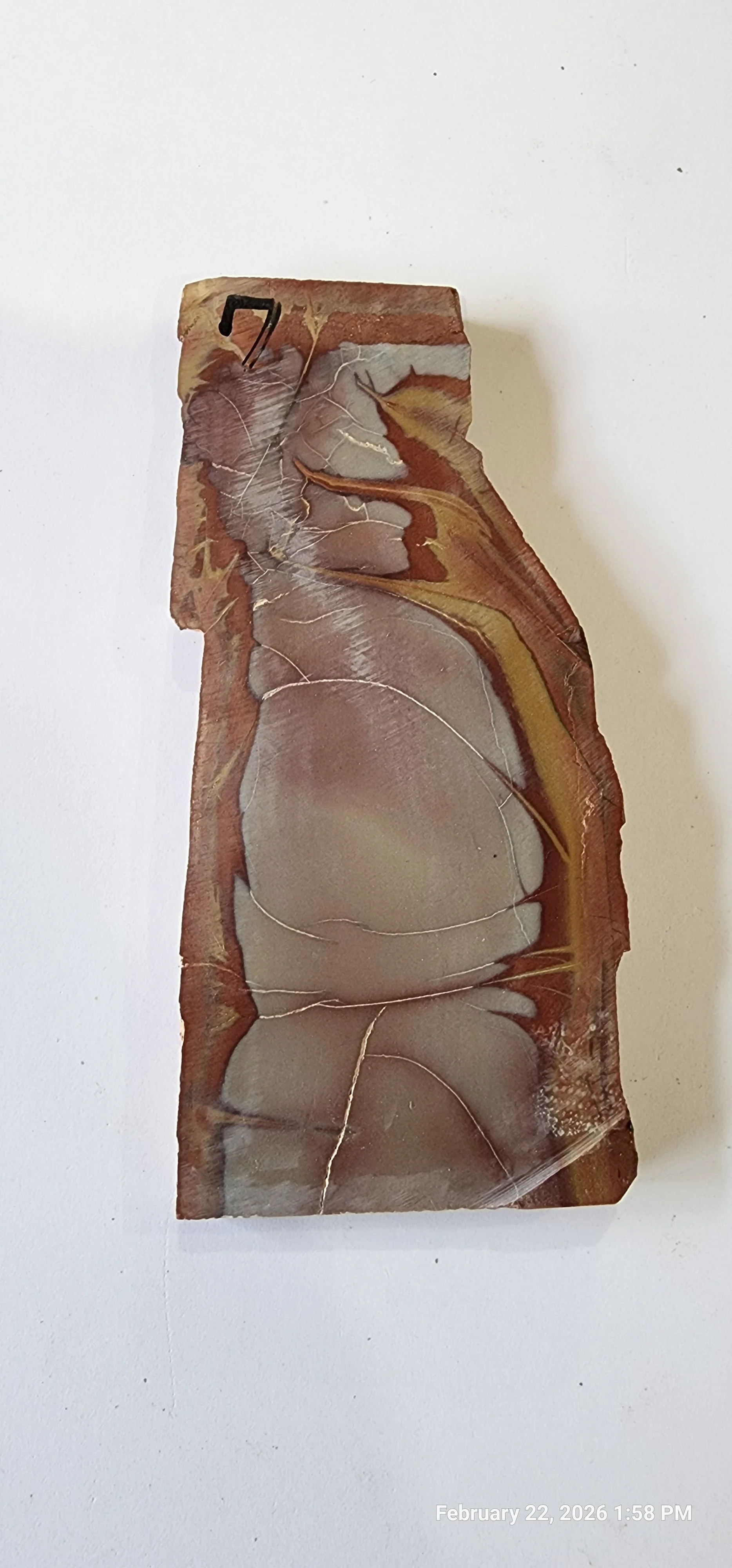 Noreena Jasper Slab Right Off the Saw