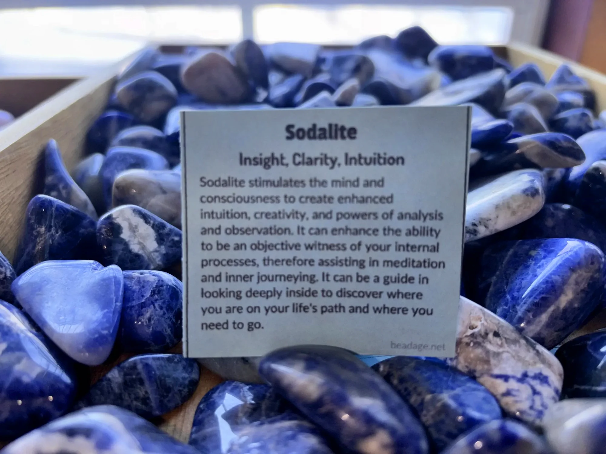 sodalite-tumbled-stones-insight-clarity-intuition-close-up-freds-rock-shop-putney-vt.webp