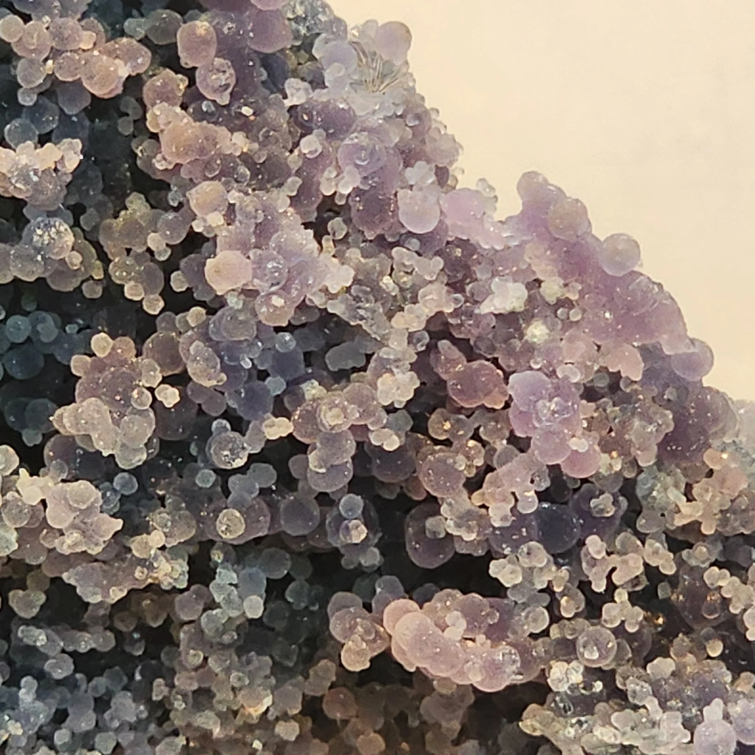 SPCM-GRAPE-001-4.jpg