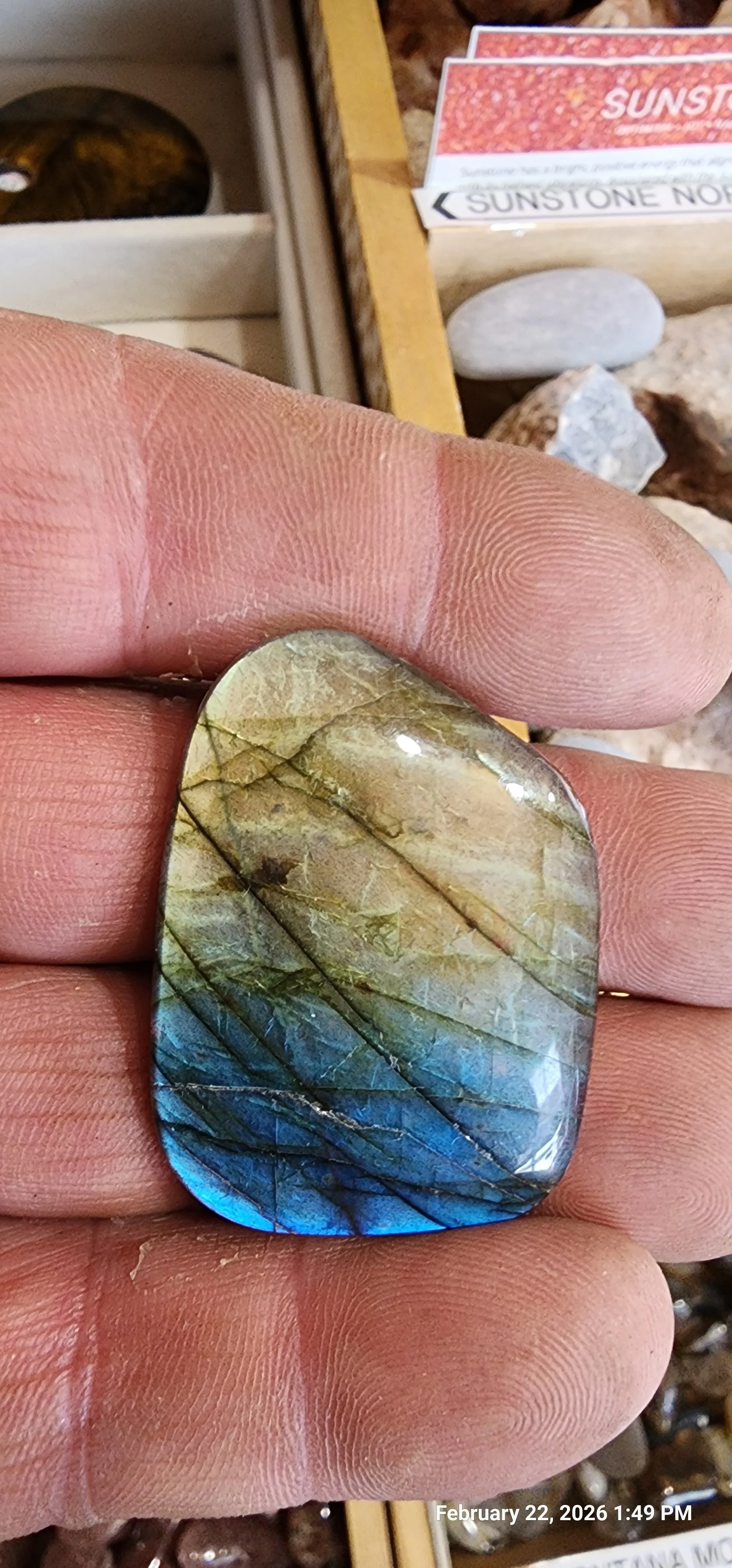 Large Labradorite Freeform