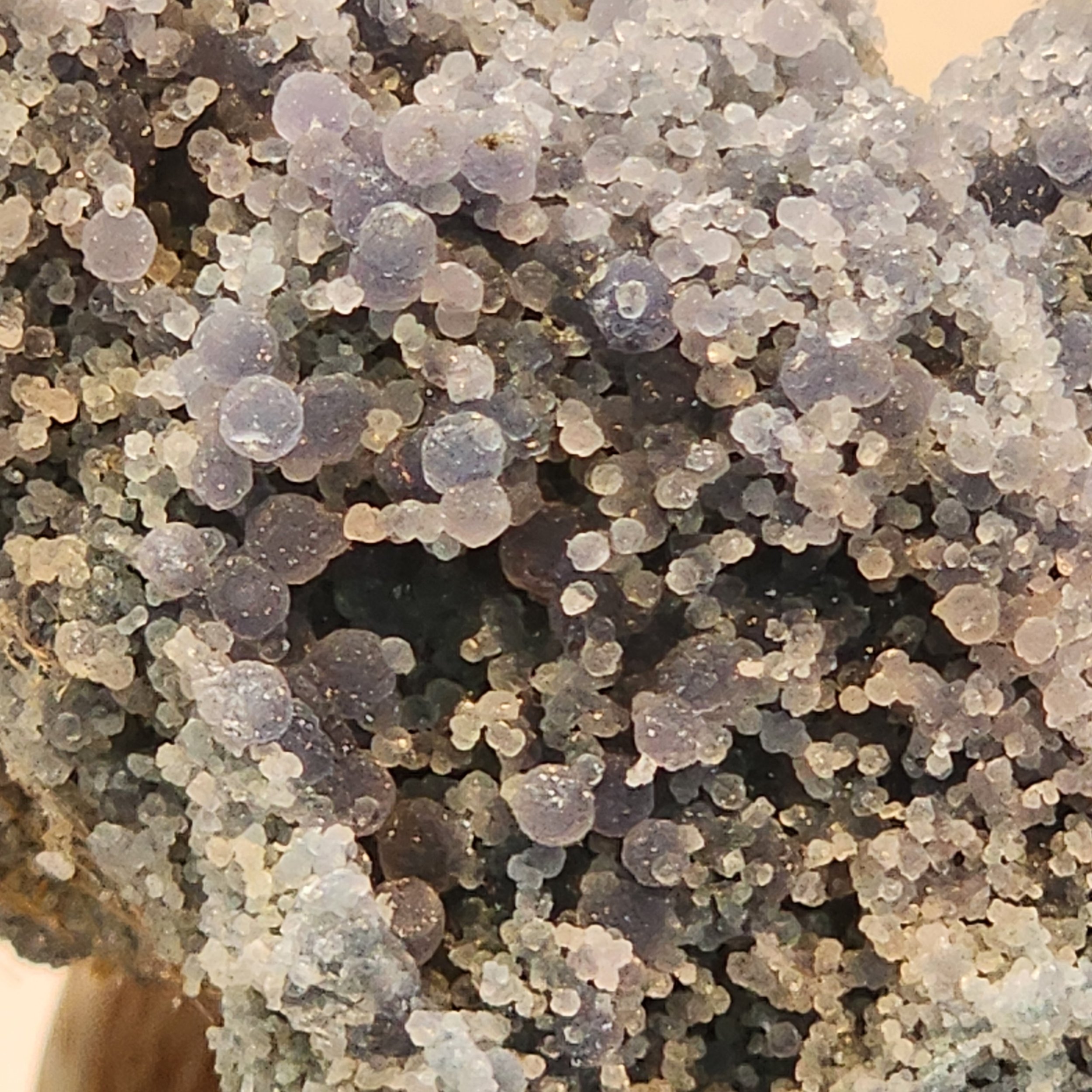 SPCM-GRAPE-001-6.jpg