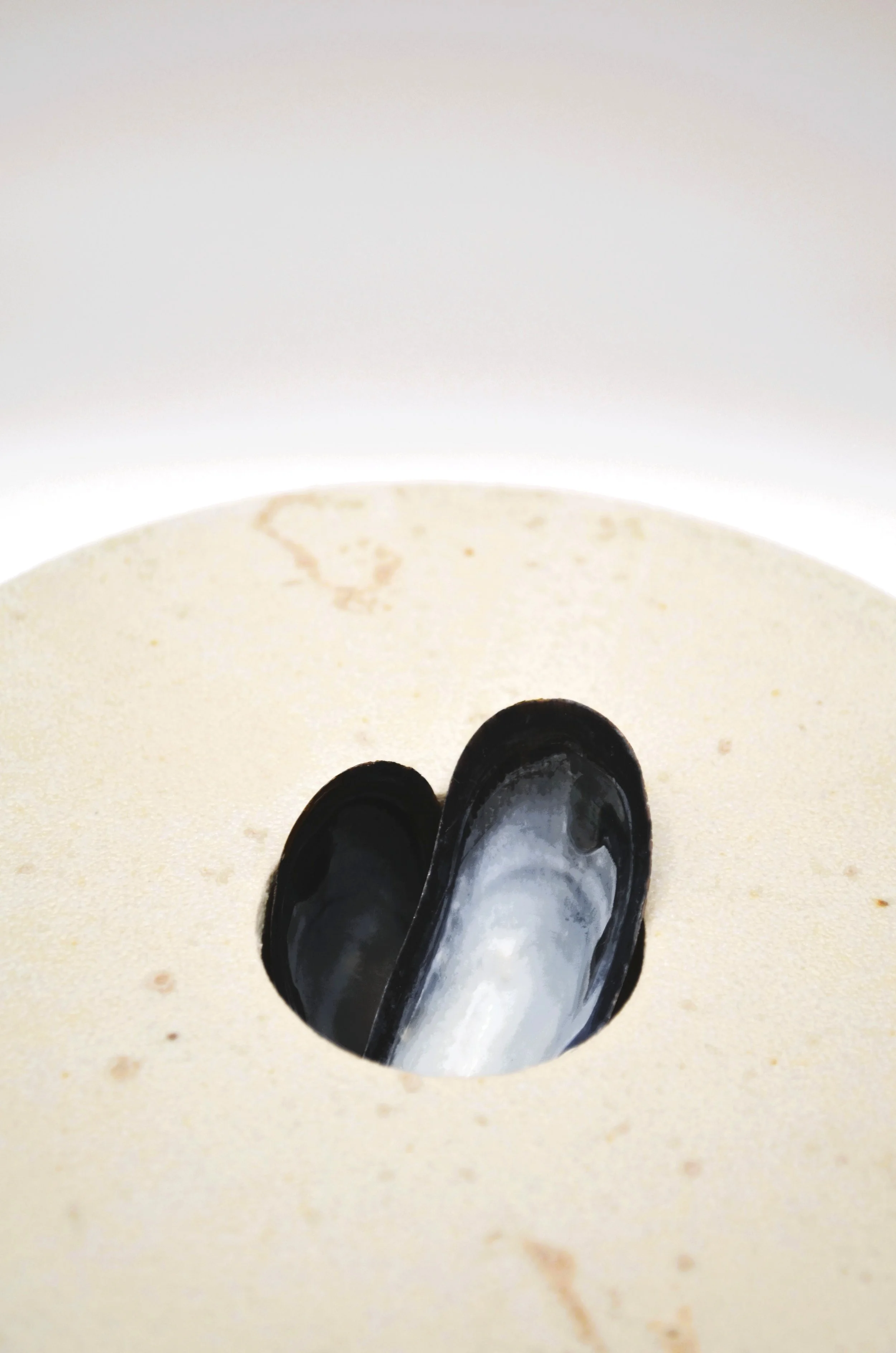 L’Abysse WM#2 - Ikebana Vase - Discarded Mussel Shells Ash Glaze & White Stoneware. 75% Circular Glaze