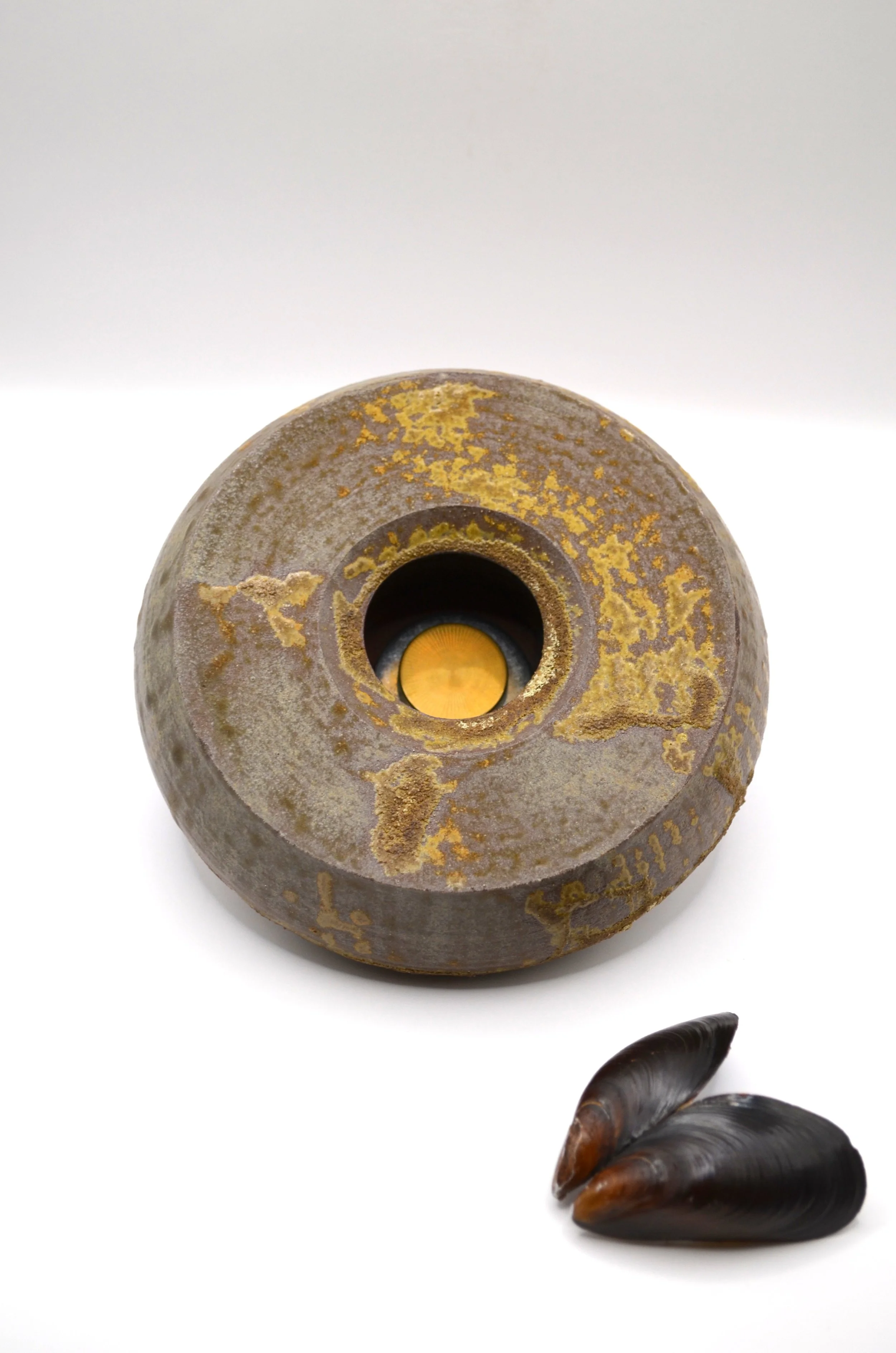 L'Abysse RWDM#2 - Wall Sculpture - Wild Dutch Seashore Clay powder & Discarded Mussel Shells Ash Glaze on Red Clay. 100% Circular Glaze