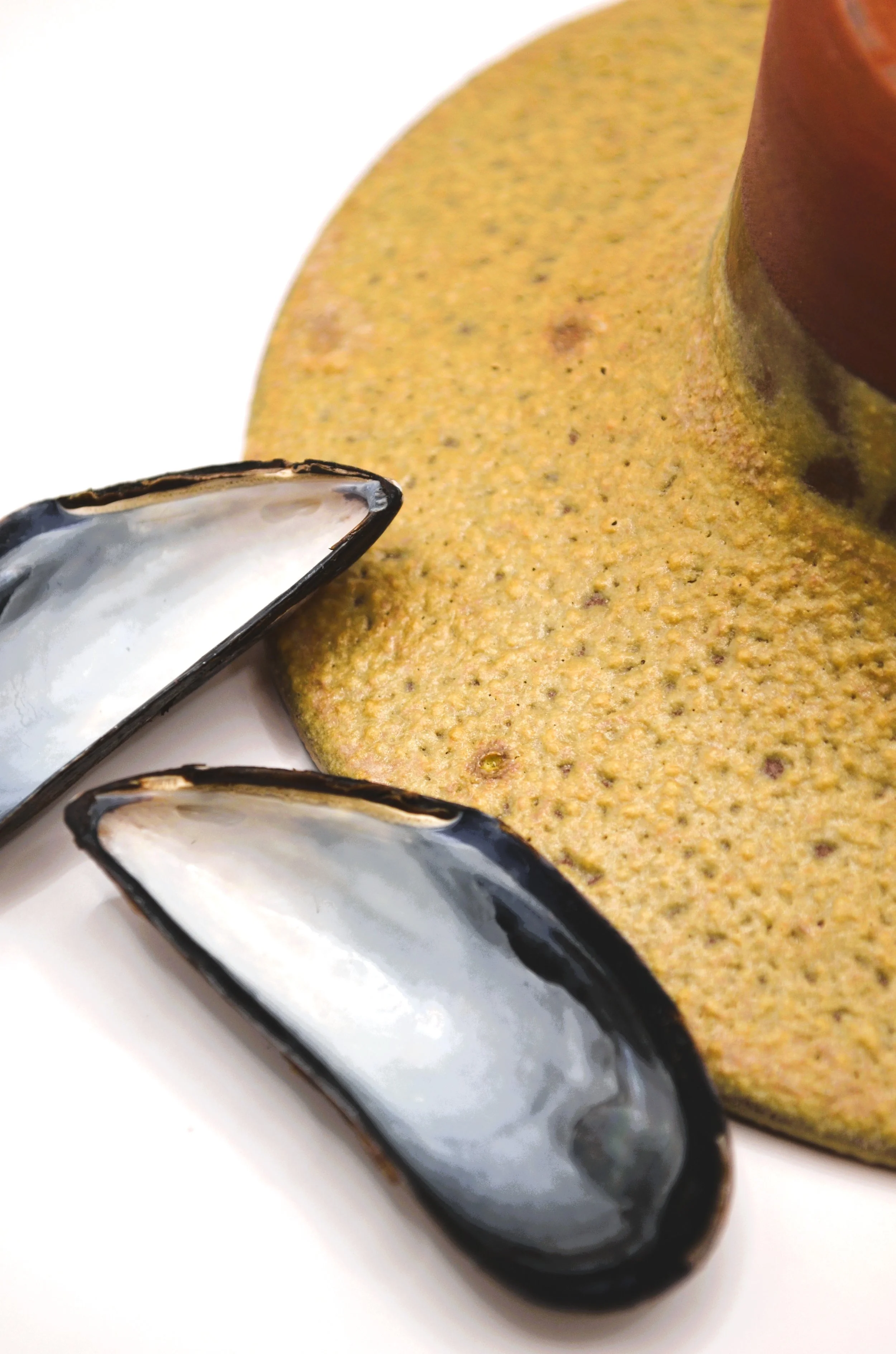 L’Écueil RM#1 - Red Stoneware ikebana vase & discarded Mussel Shells Ash Glaze. 75% Circular Glaze