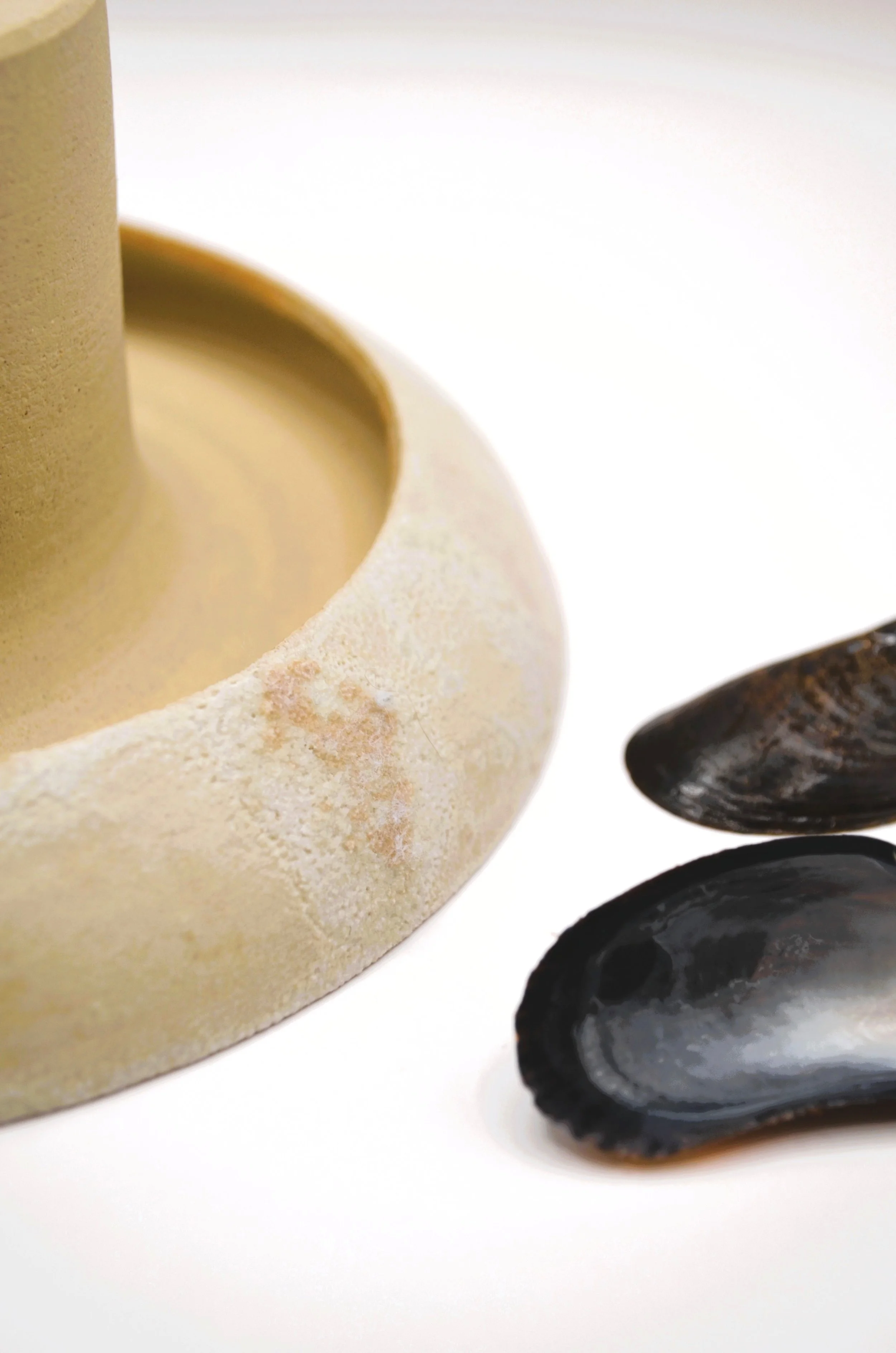 L’Abysse WM#2 - Ikebana Vase - Discarded Mussel Shells Ash Glaze & White Stoneware. 75% Circular Glaze