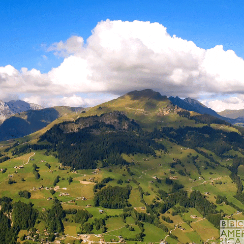 Television Beauty GIF by BBC America.gif