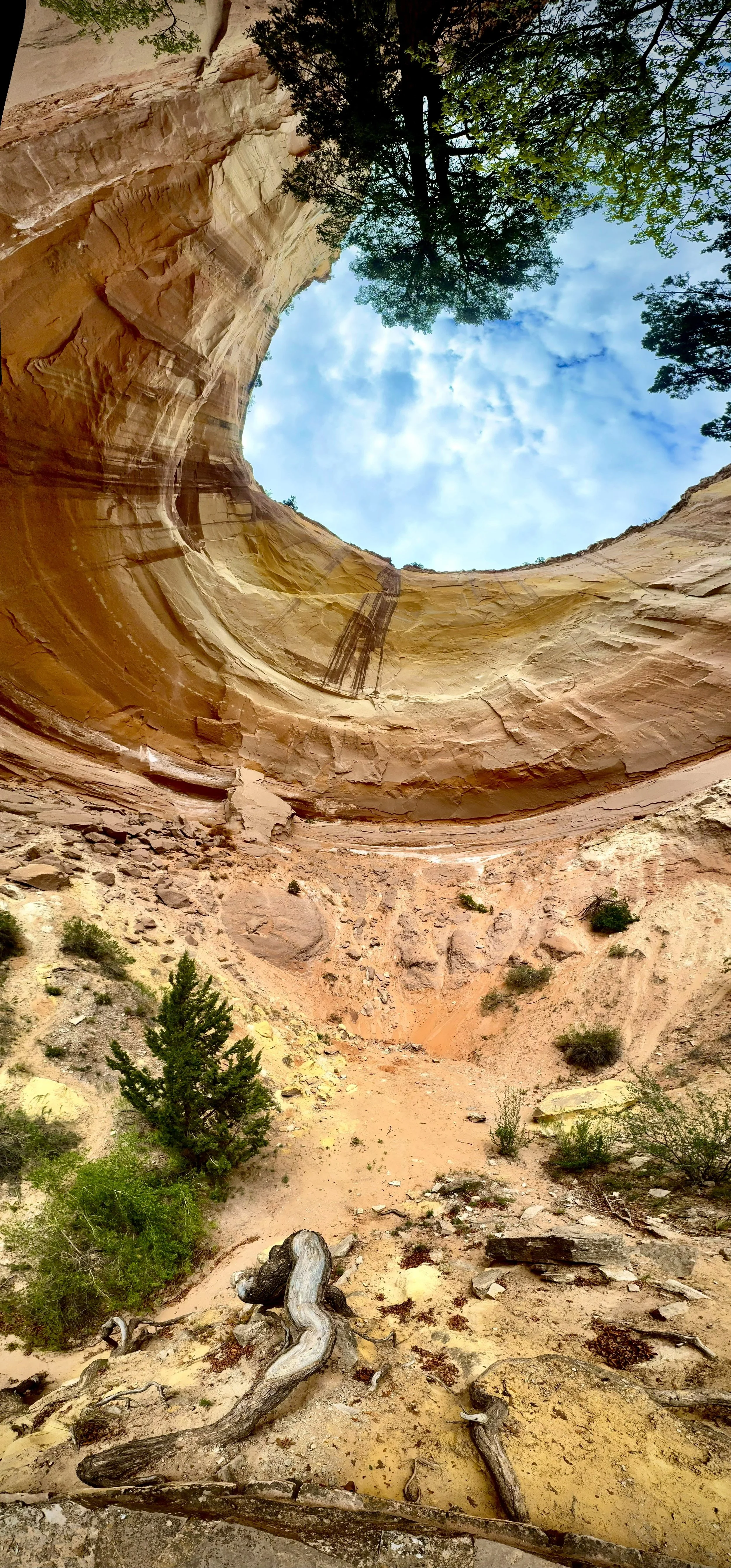 Looking up at a circular canyon layered red and yellow rock walls, a blue sky with clouds, and some green trees at the top edge. soul path integration transformational coaching hypnotherapy higher self life coach hypnotherapy human design