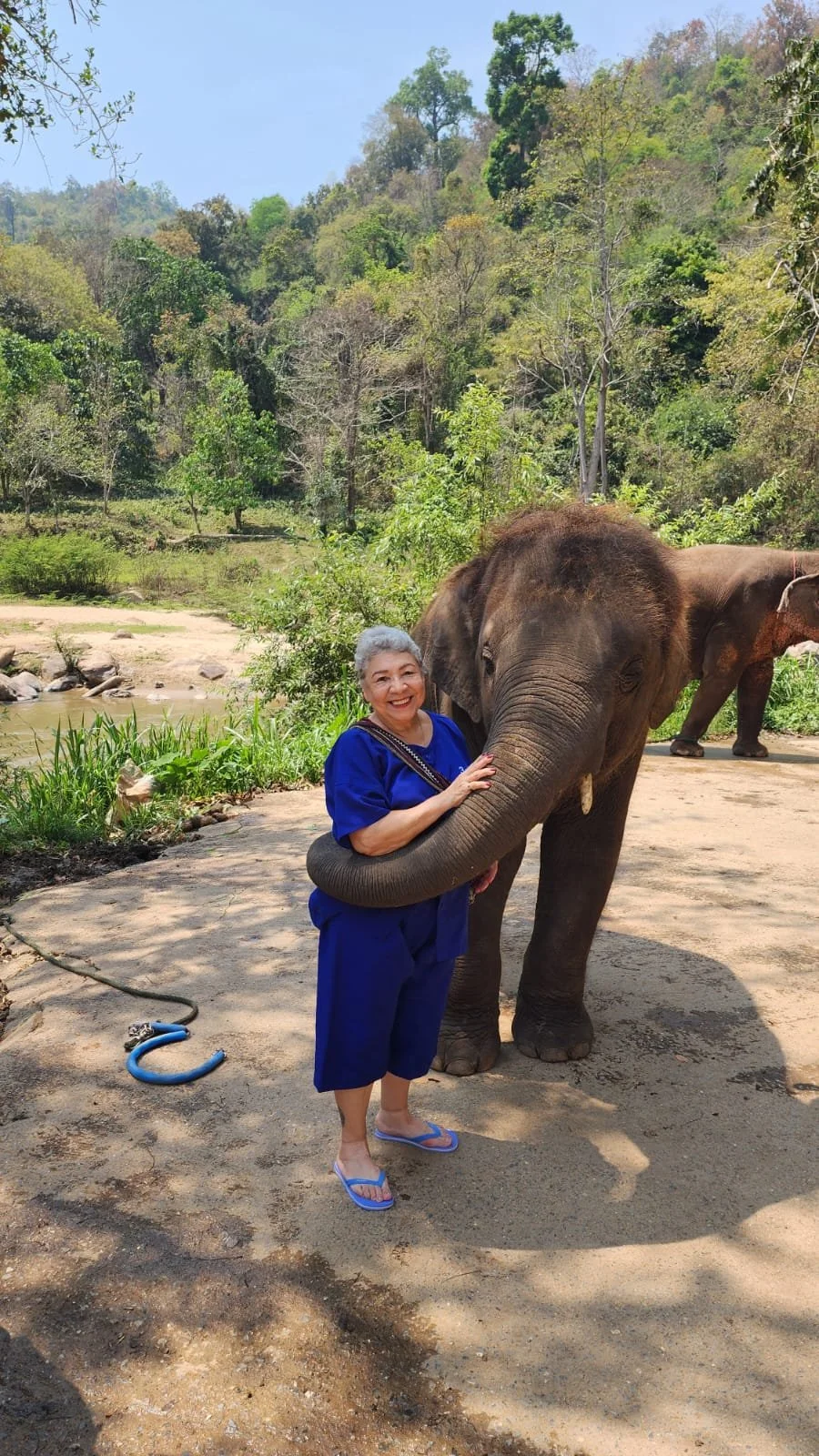 Disfruta de la expericiencia mas asombrosa de estar tan cerca de un Elefante  en Tailandia despues de esto no abra mas palabras !
