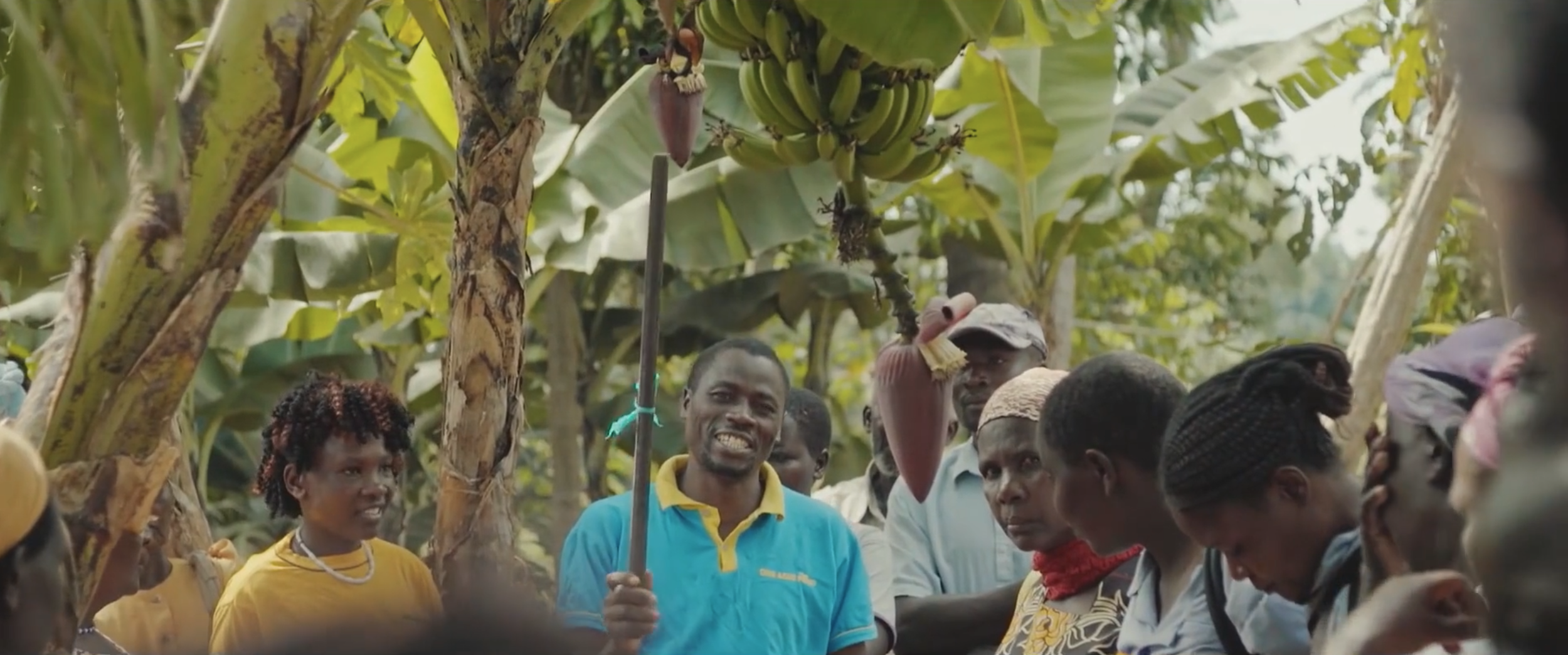 One Acre Fund and Northwestern Kellogg