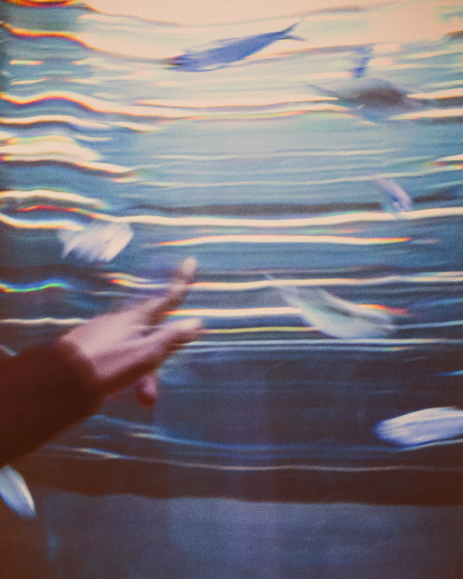 Aquarium