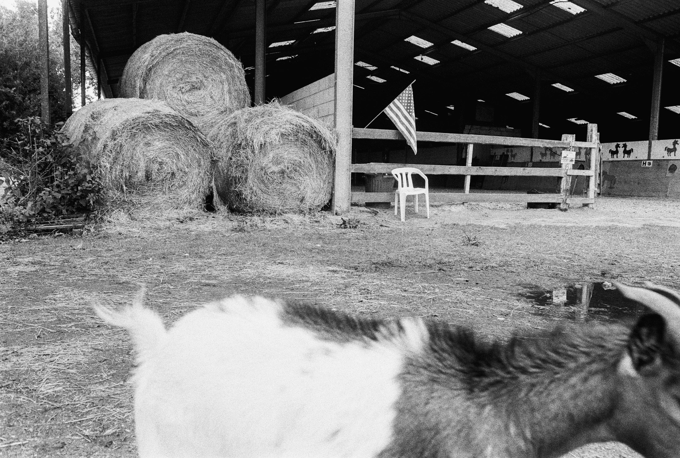 Poney club