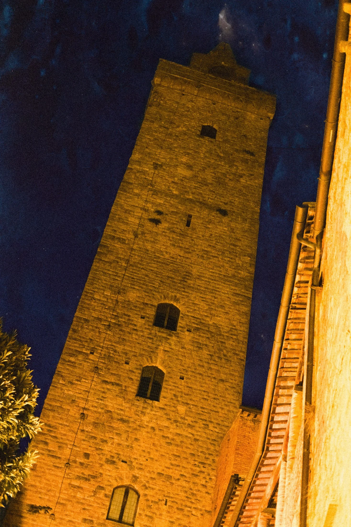 Magari