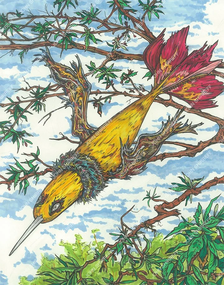 Colorful illustration of a bird with a yellow body, red tail, and long beak, perched upside down on a tree branch with green leaves, against a blue sky with clouds.
