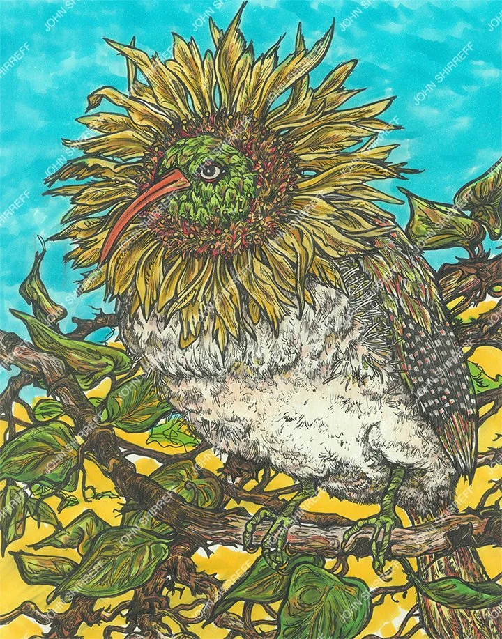 THE SUNFLOWER FINCH