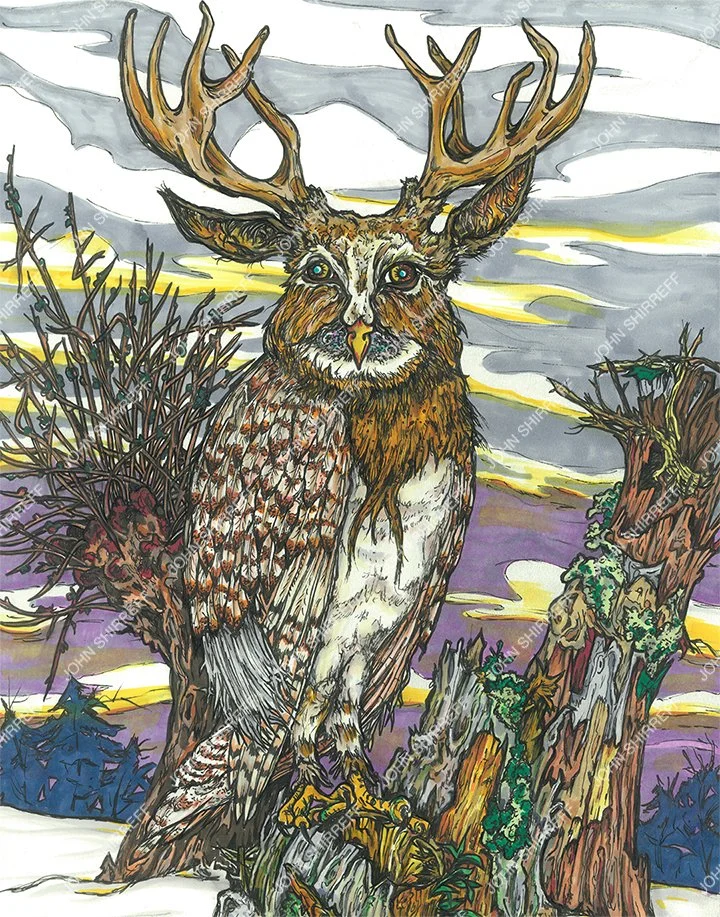 THE BUCK OWL
