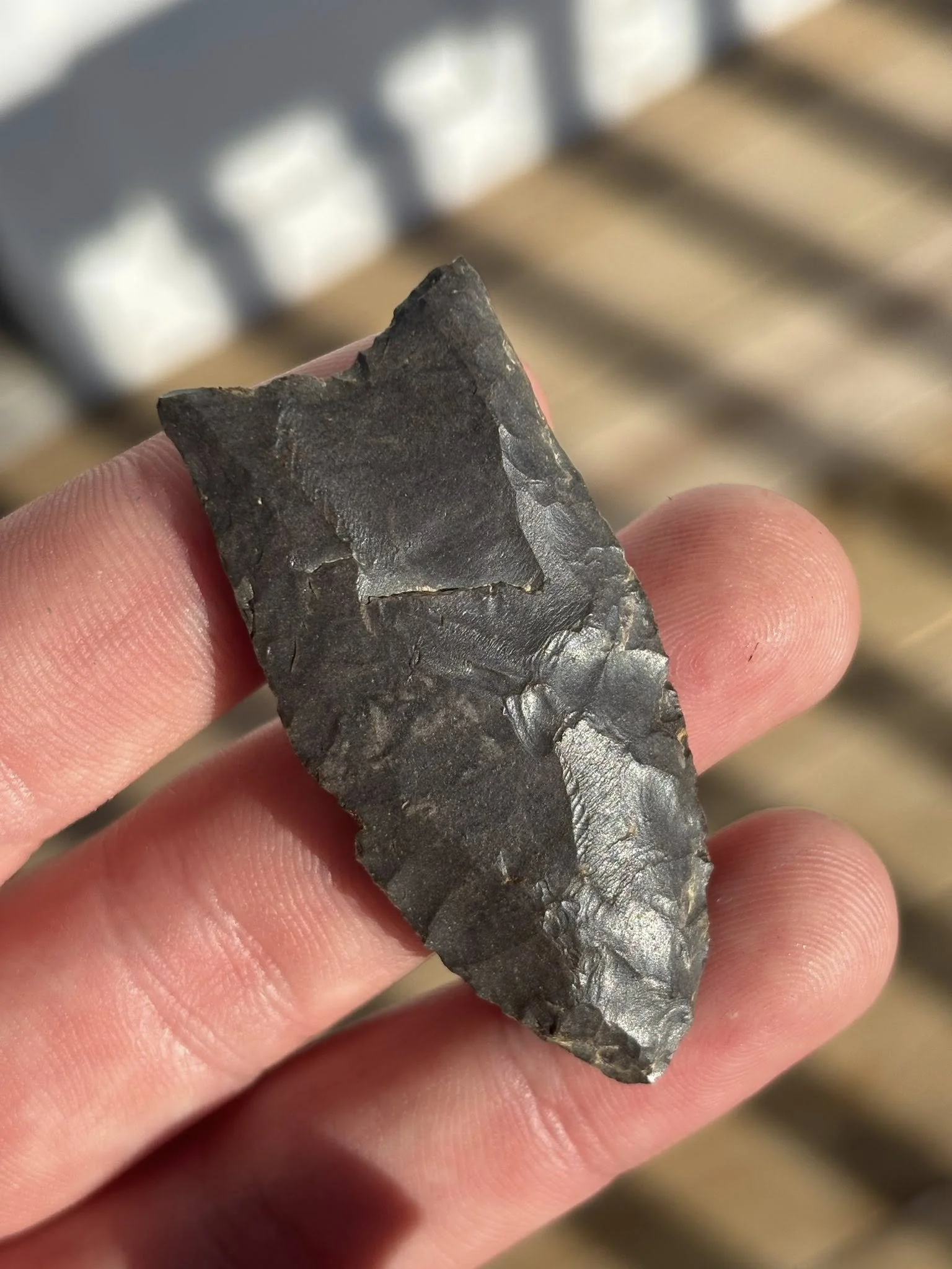 Close-up of a person holding a dark, flint arrowhead artifact with a textured surface.