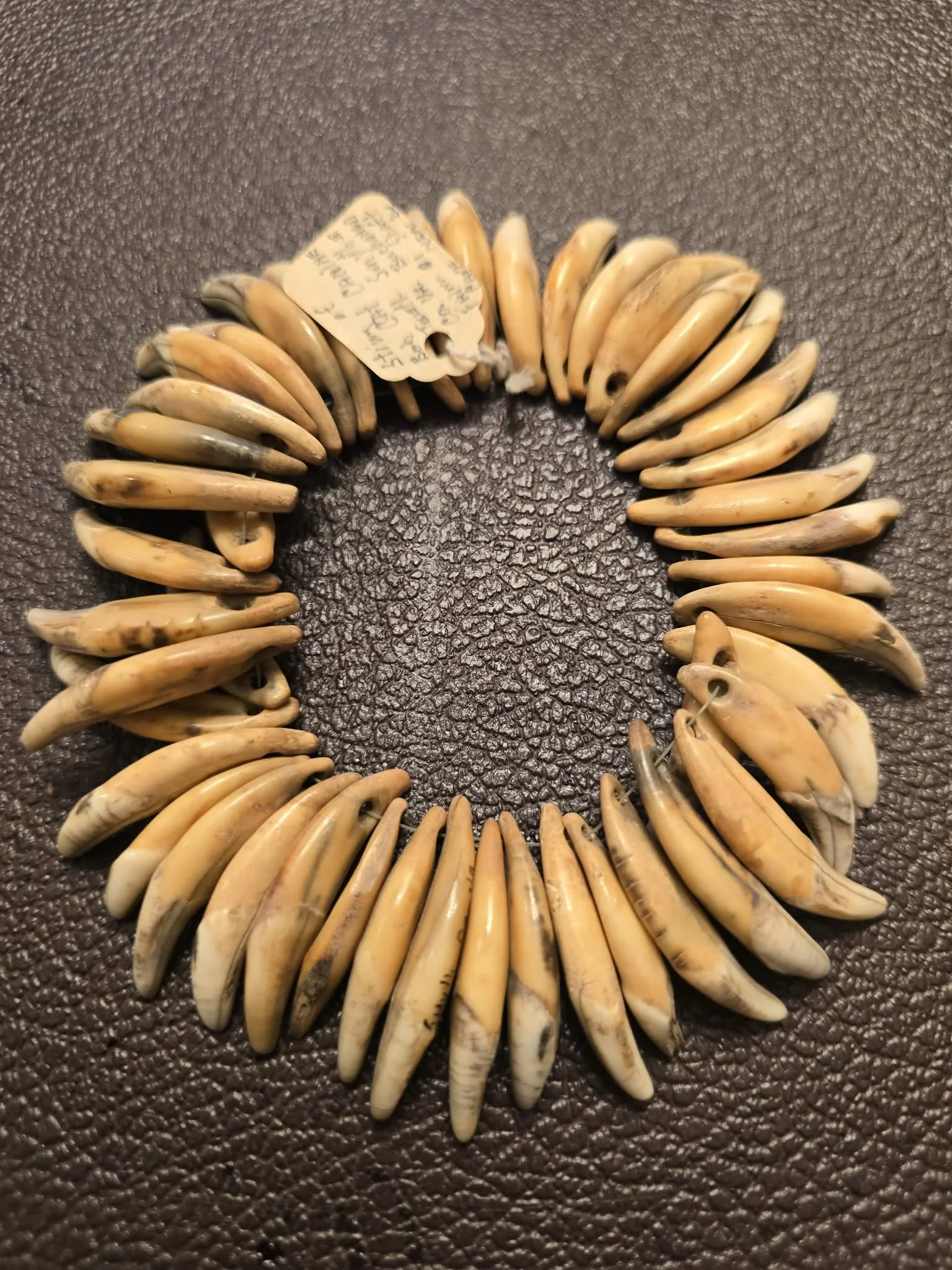 Cave Bear tooth necklace