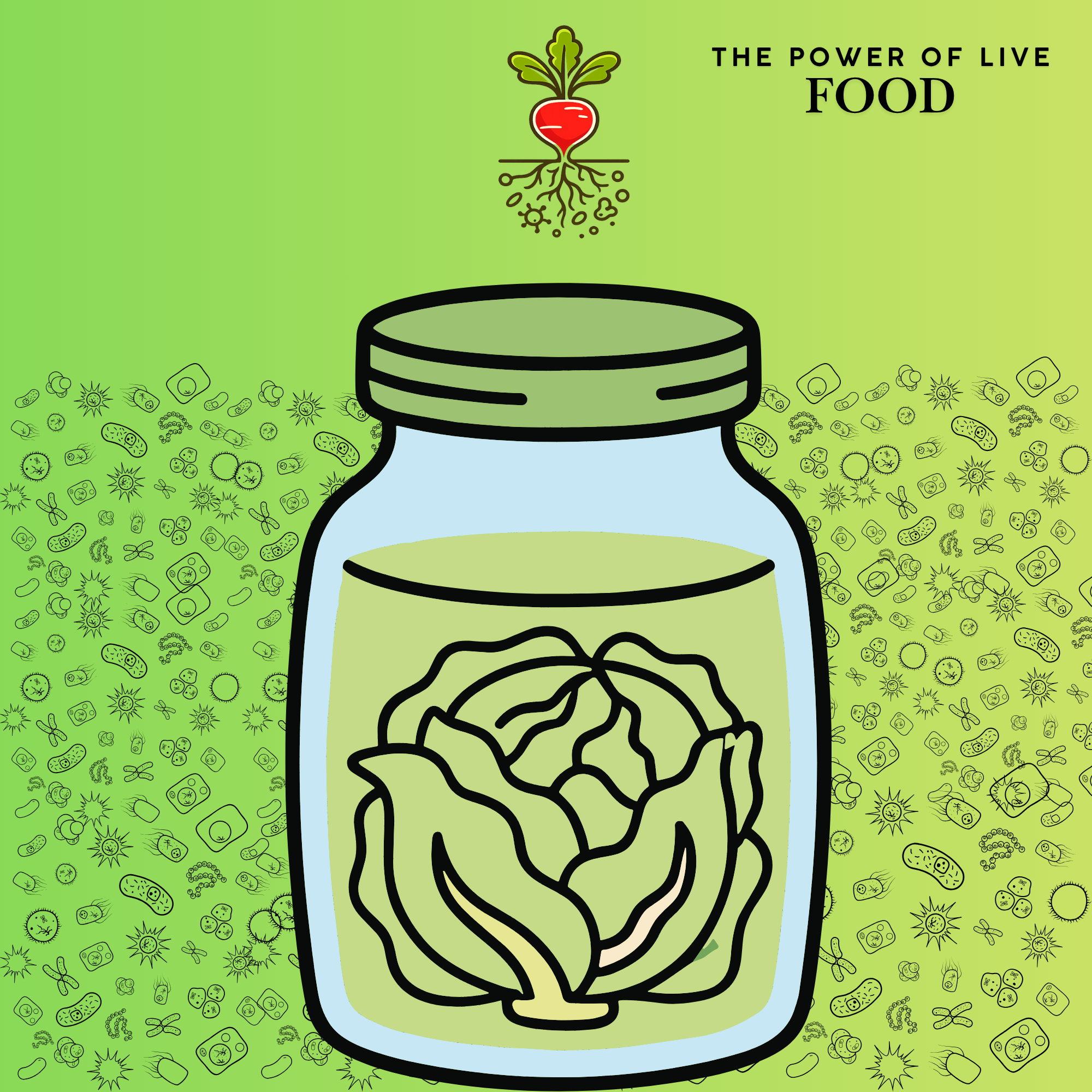 Fermentation Workshops + Microbiome Analysis