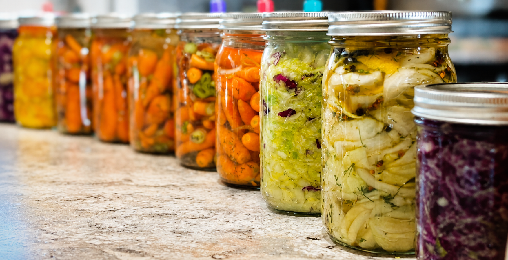 Fermentation & The Microbiome
