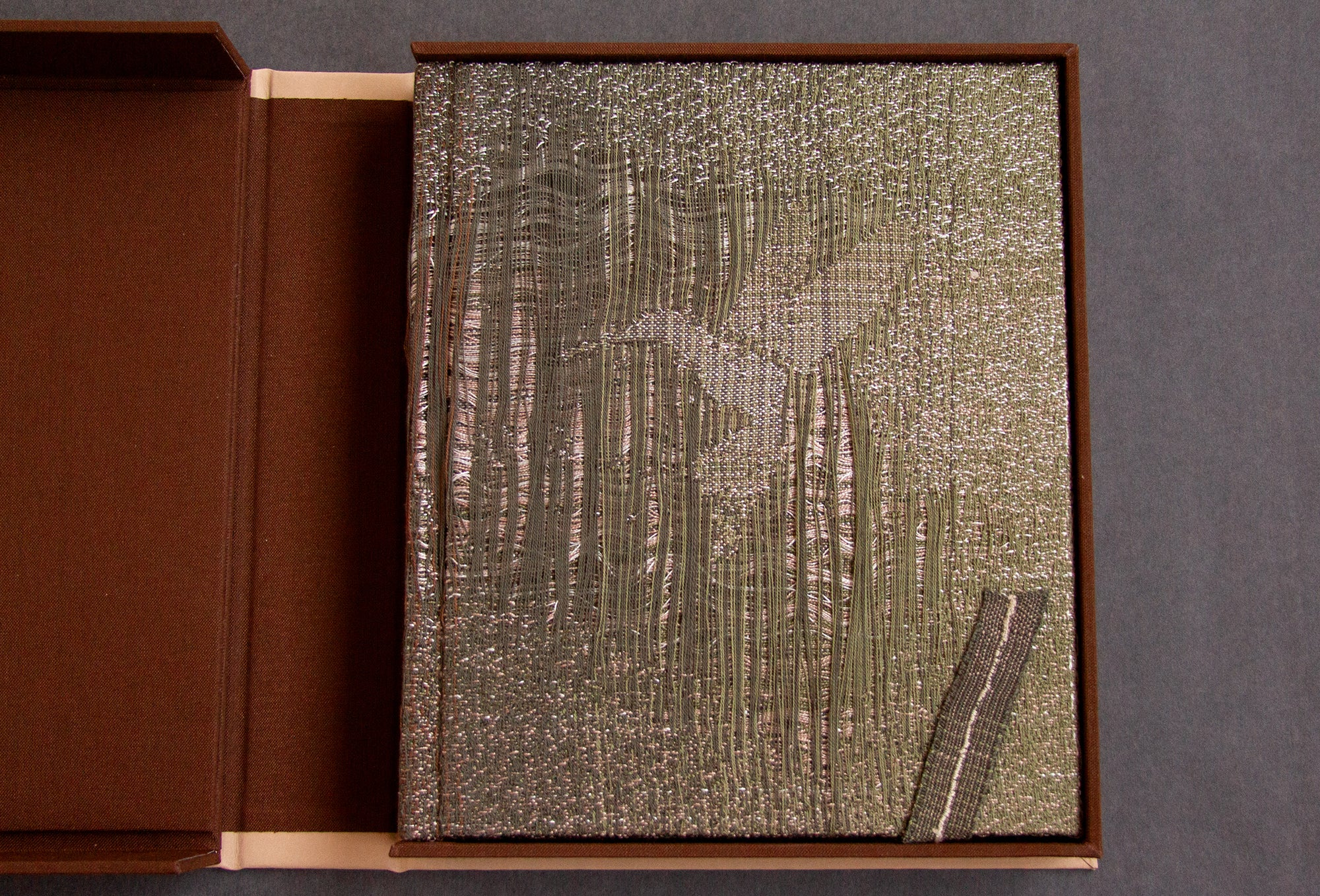 HAMPI: Special Edition (2026)