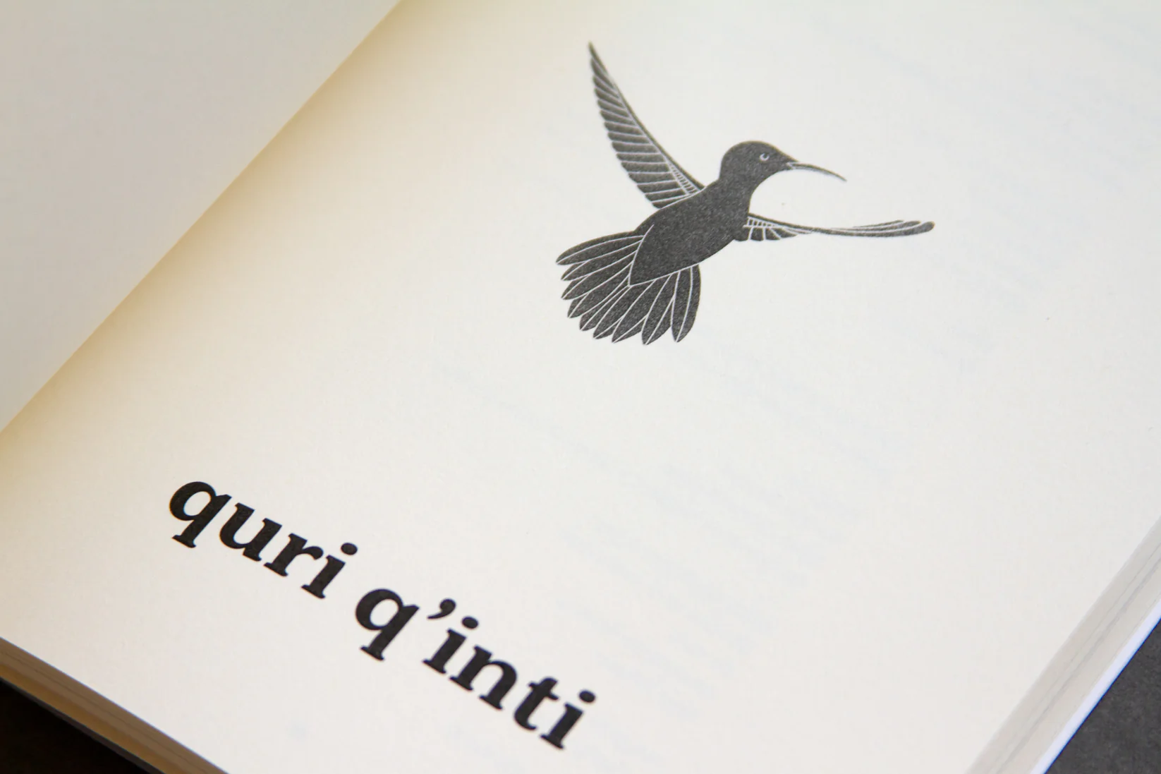 HAMPI: First Edition (2024)