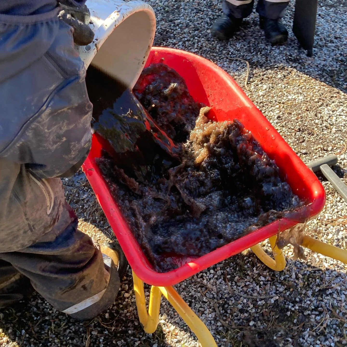 &Auml;ntligen &auml;r v&aring;ren h&auml;r 💦☀️Var kommer vattnet ifr&aring;n? Vart tar det v&auml;gen? Det &auml;r brunt som choklad&hellip; &ouml;sa.. h&auml;lla.. baka och smaka😅