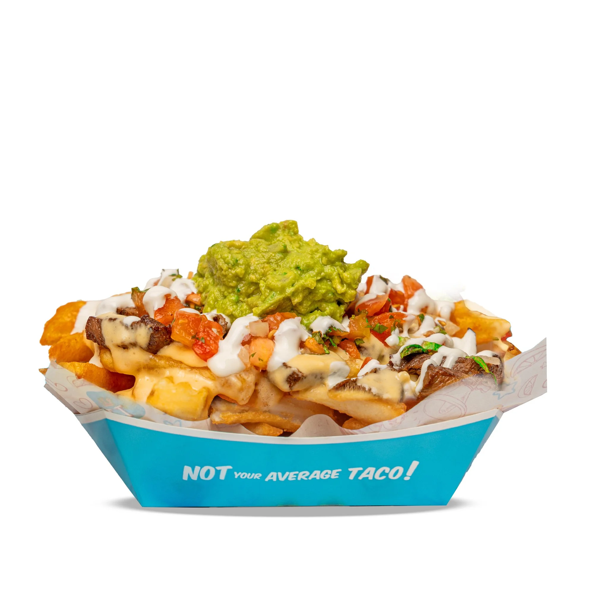 STEAK FRIES - juicy steak, queso, pico, guac, sour cream
