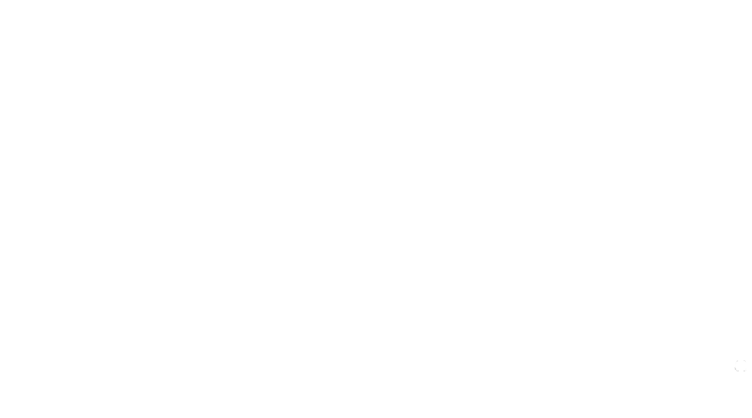 APEX FILMS CO.