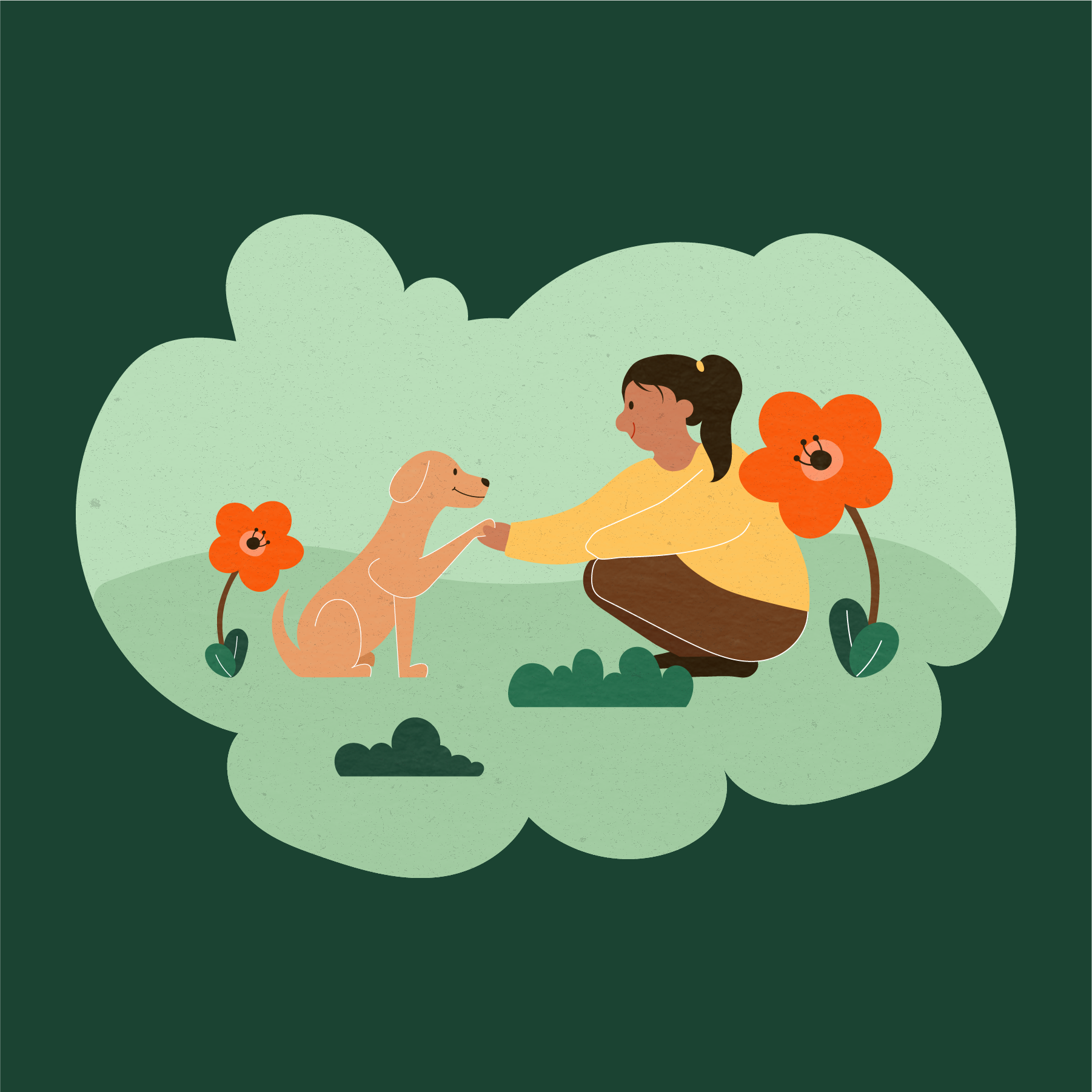 Landing Page & Illustration