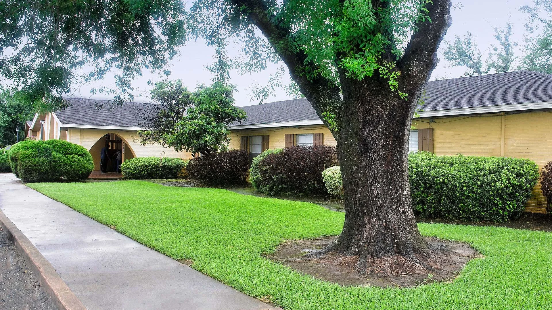 A yellow building surrounded by grass, shrubs, and a large tree.