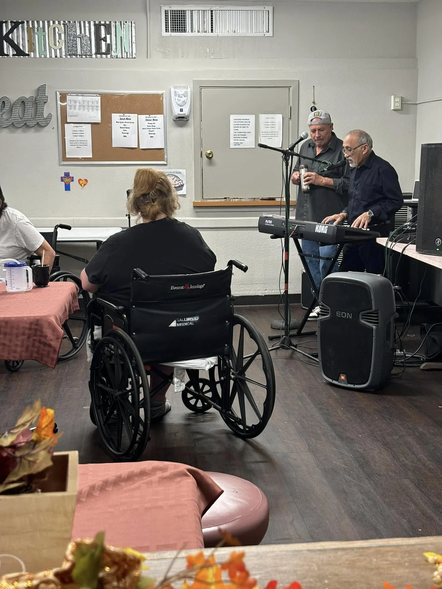 Person in wheelchair watching a music show