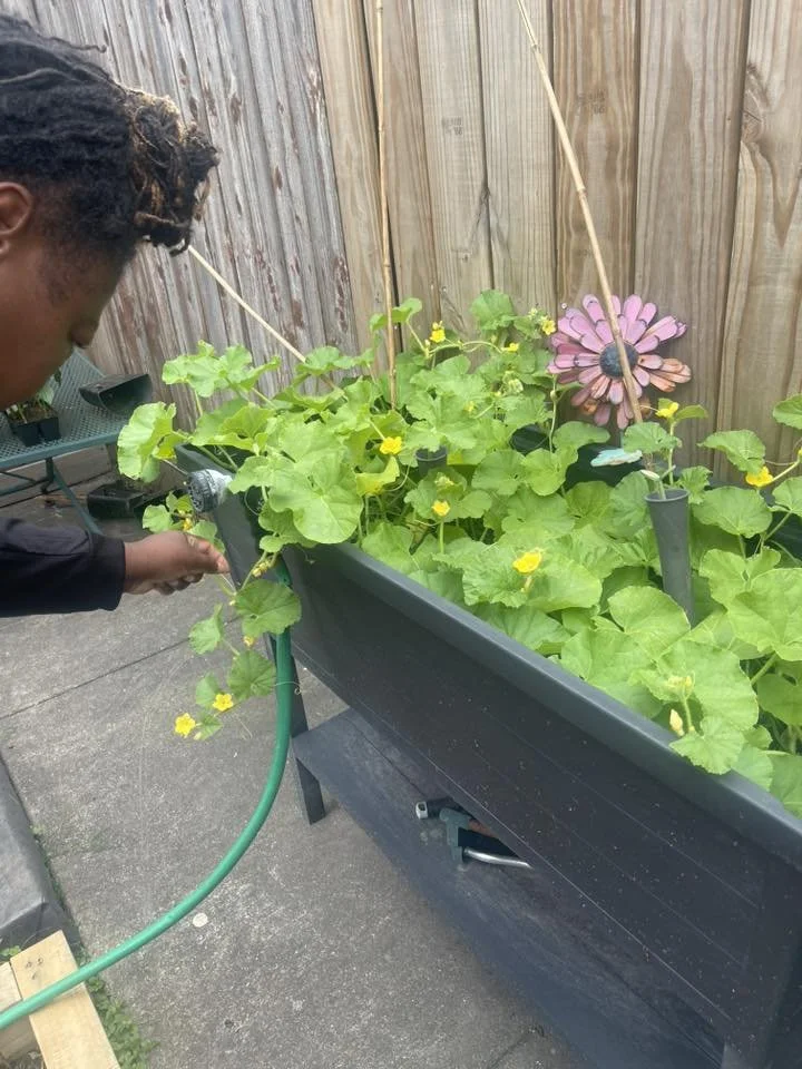 Woman touching leaves in a planter