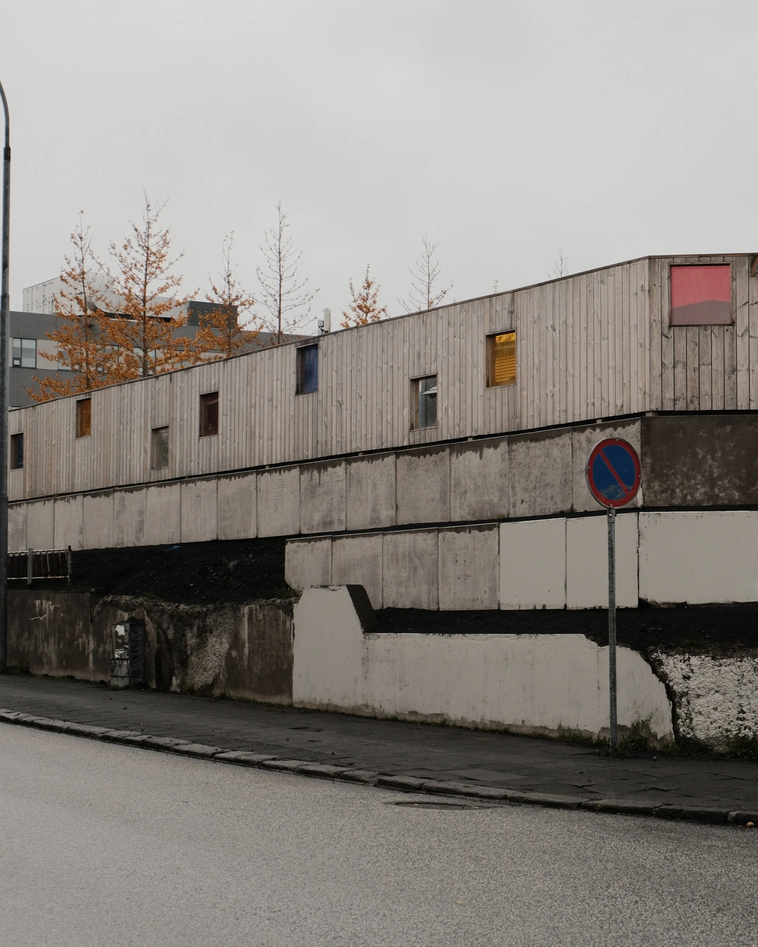 DSCF1446.jpg