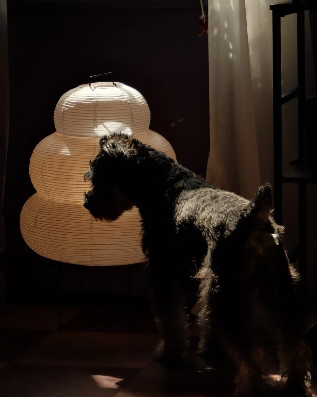 DSCF5108.jpg
