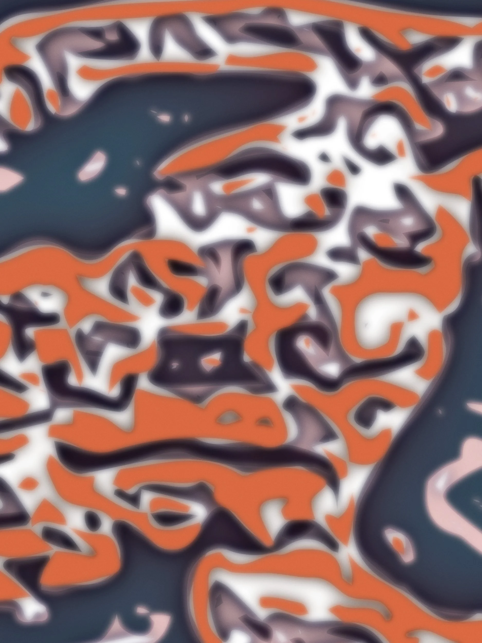 Flying Leopards