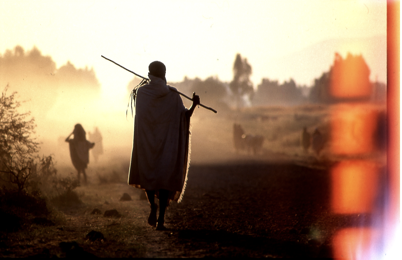 Screenshot 2026-03-22 at 7.23.32 PM.png