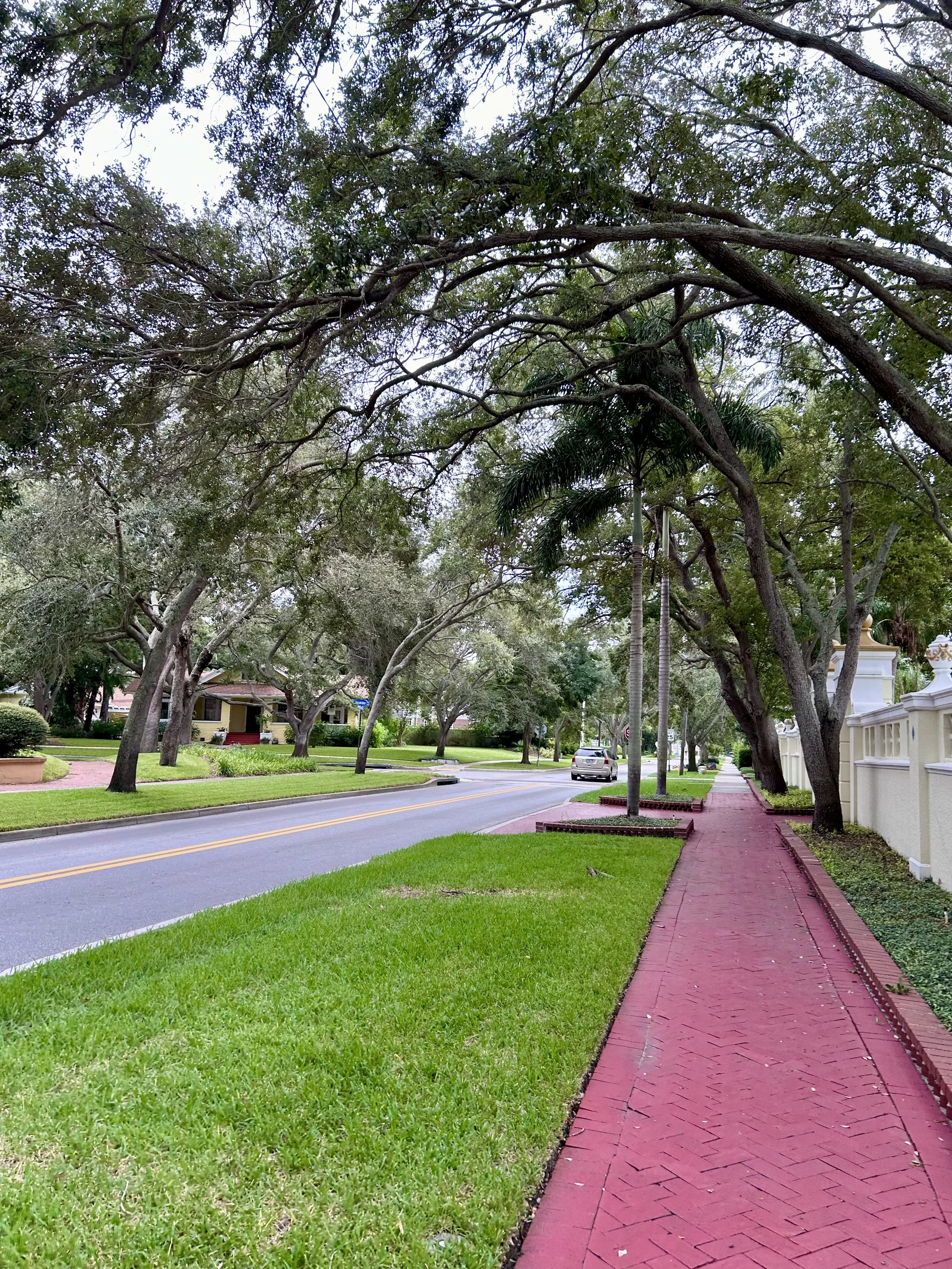 A quiet suburban street lined with large trees, a red brick sidewalk, and a white fence, with a parked car and small houses in the background in Clearwater, Florida