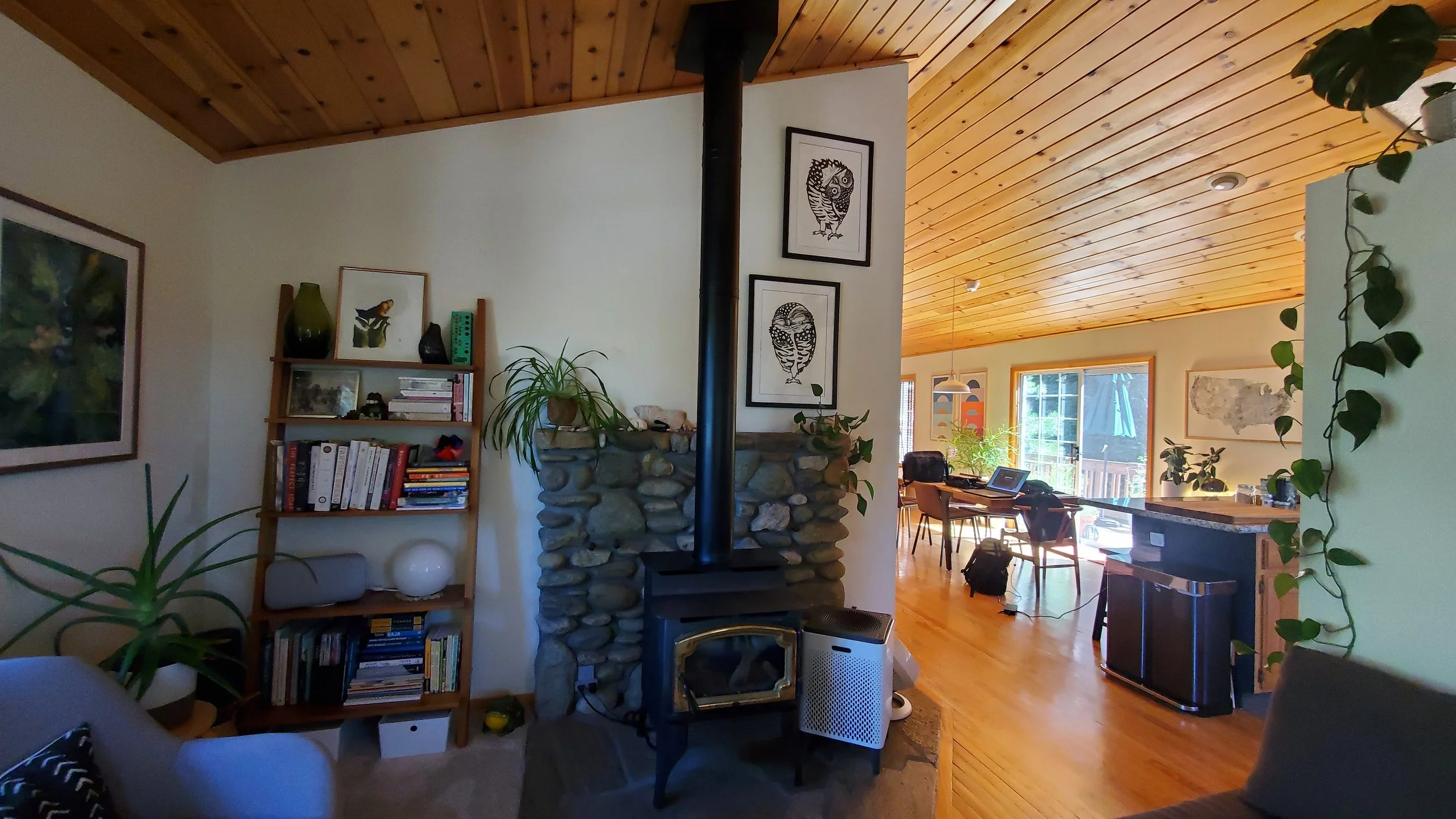 Mountain Zen_Fireplace_Before.jpg