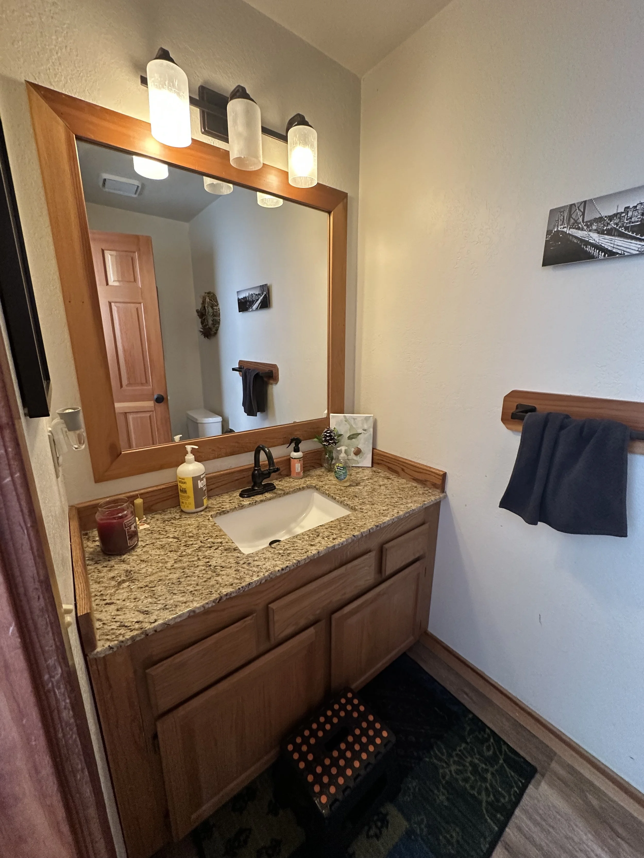 Sierra Modern_Powder Bath_Before.jpeg