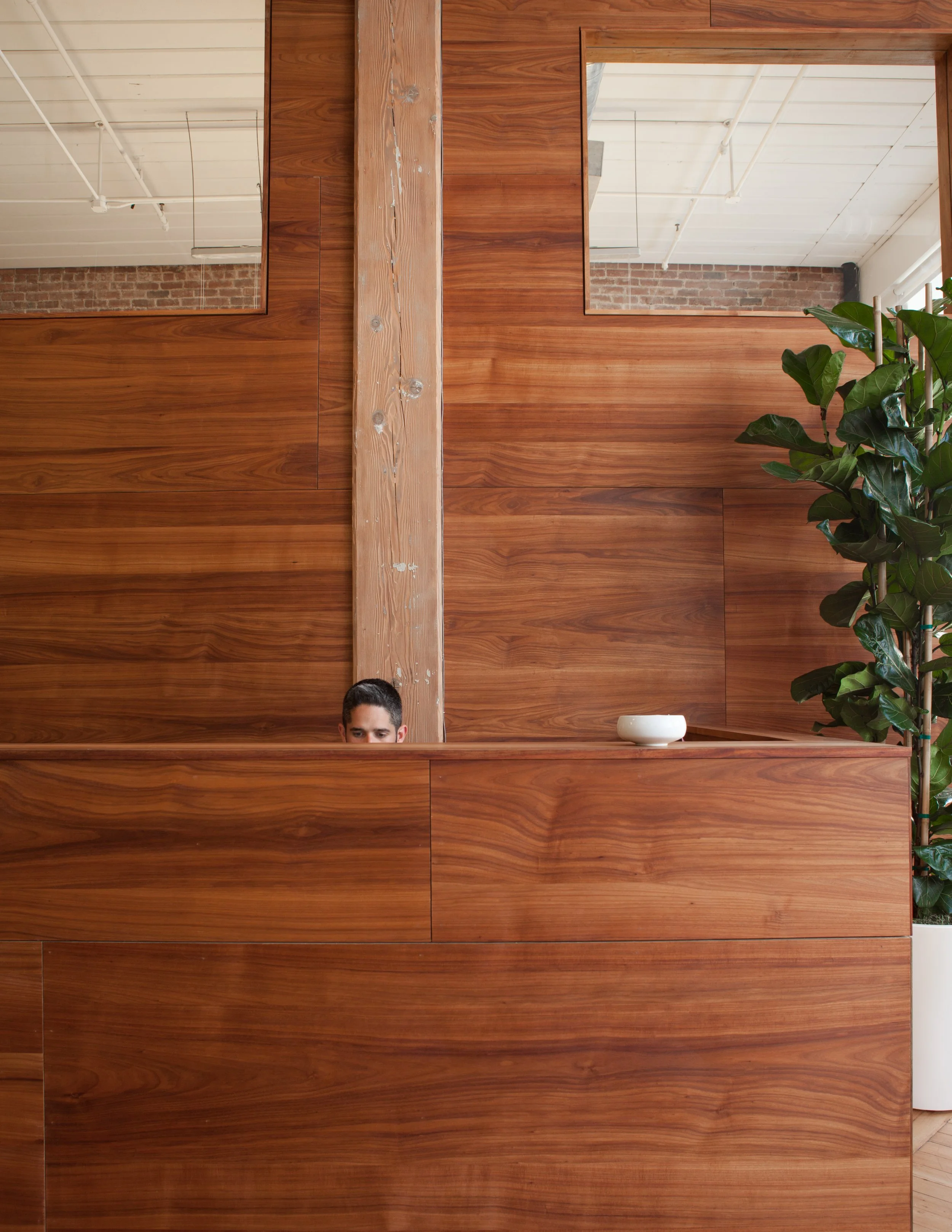 Part of an indoor space with wooden panels on the wall, a mirror, a houseplant, and a person's head in the lower left corner.