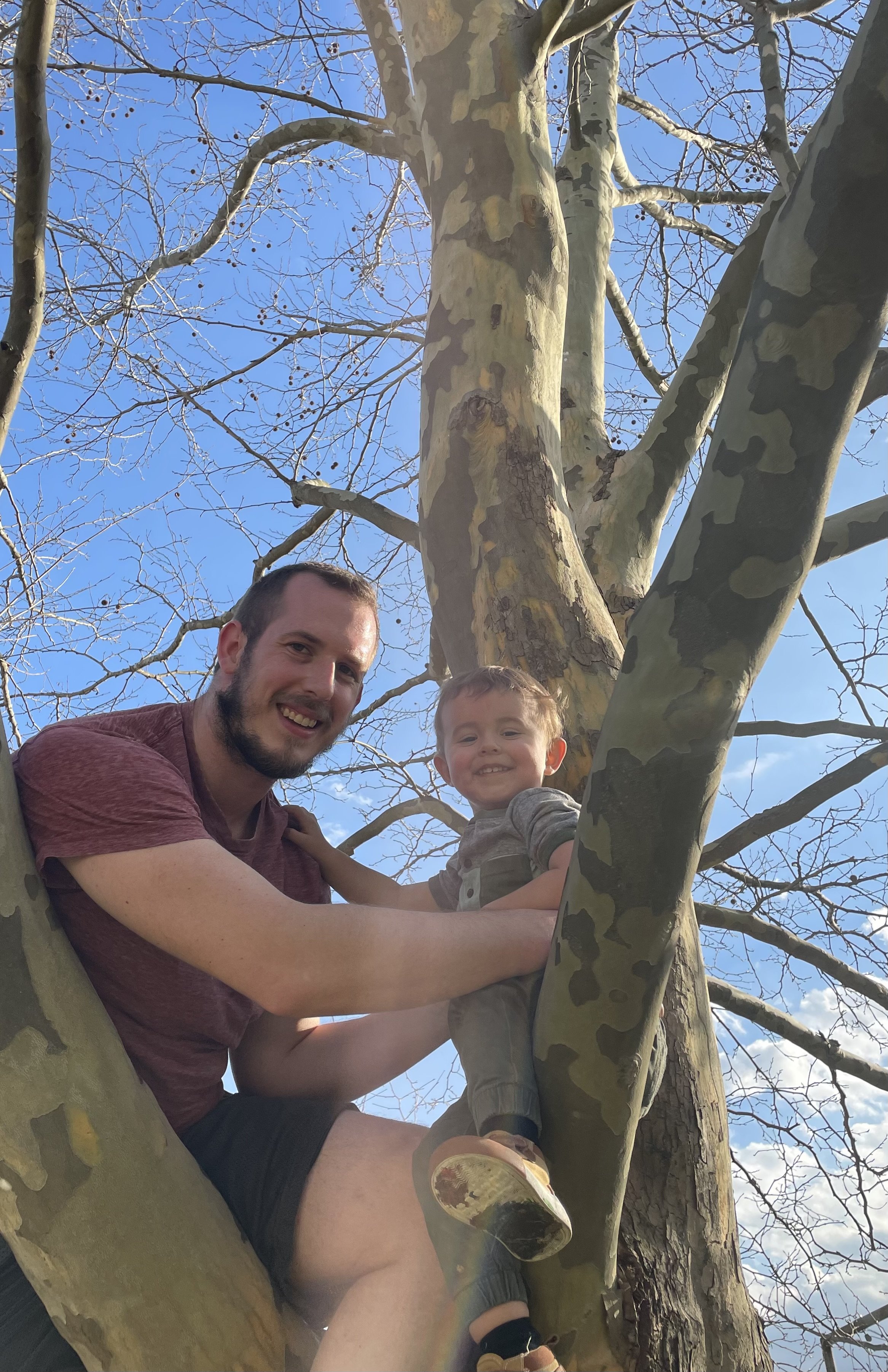 A smiling man and a young boy are sitting in a tree together, surrounded by bare branches, with a bright blue sky in the background.