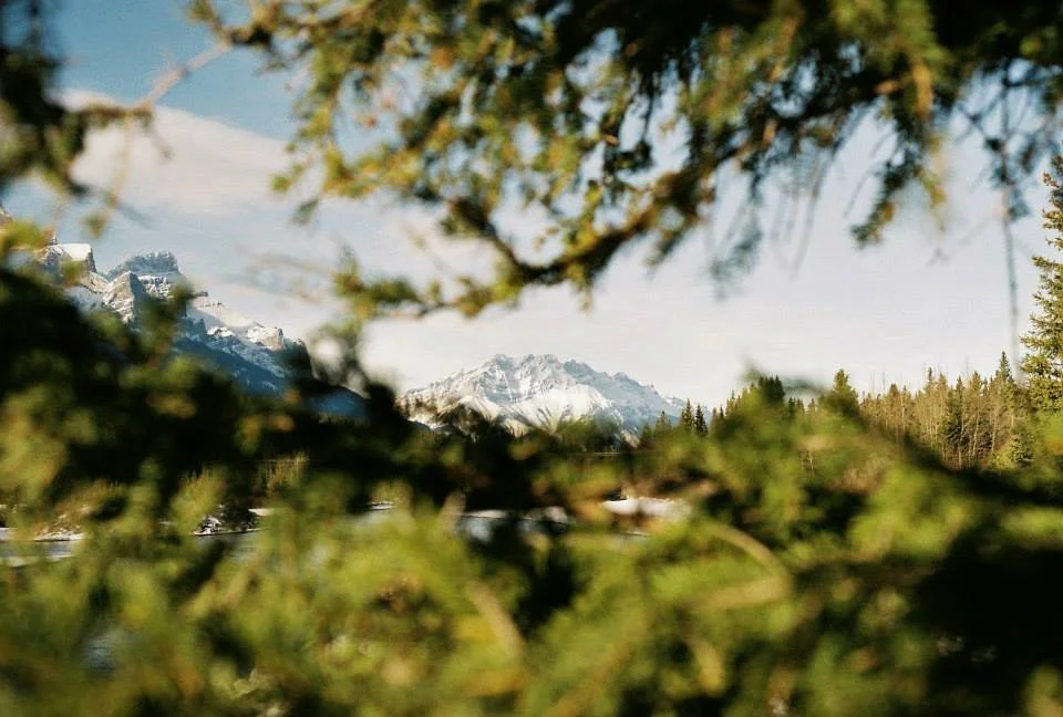 Opal-Photography-Film-Mountain-View.jpg