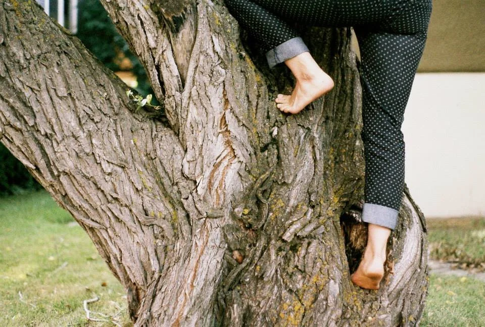 Opal-Photography-Film-Tree-Climb.jpg