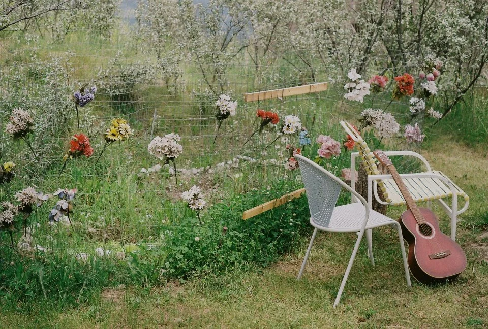 Opal-Photography-Magical-Cabin-Garden-02.jpg