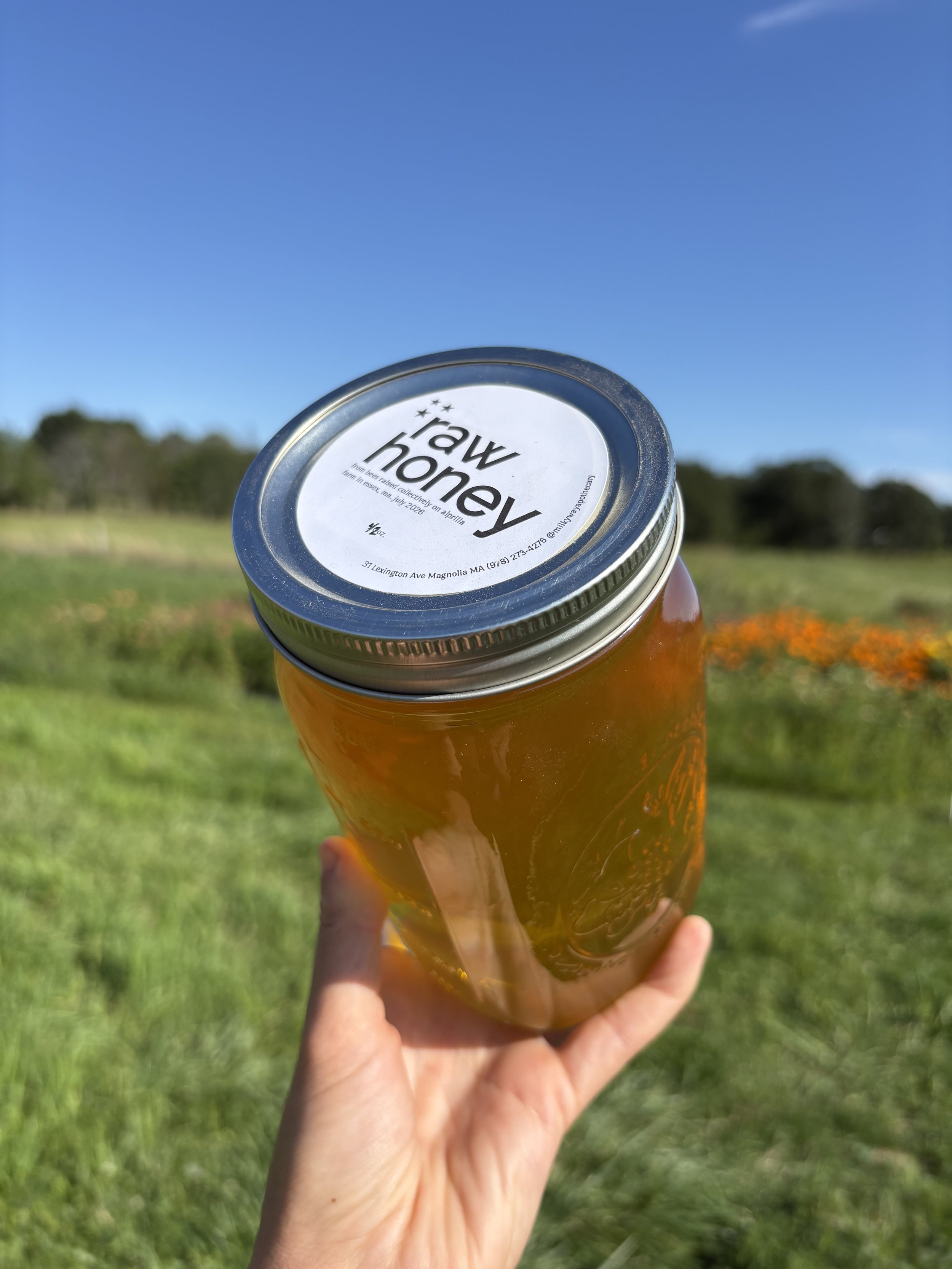 honey sideways view.jpg
