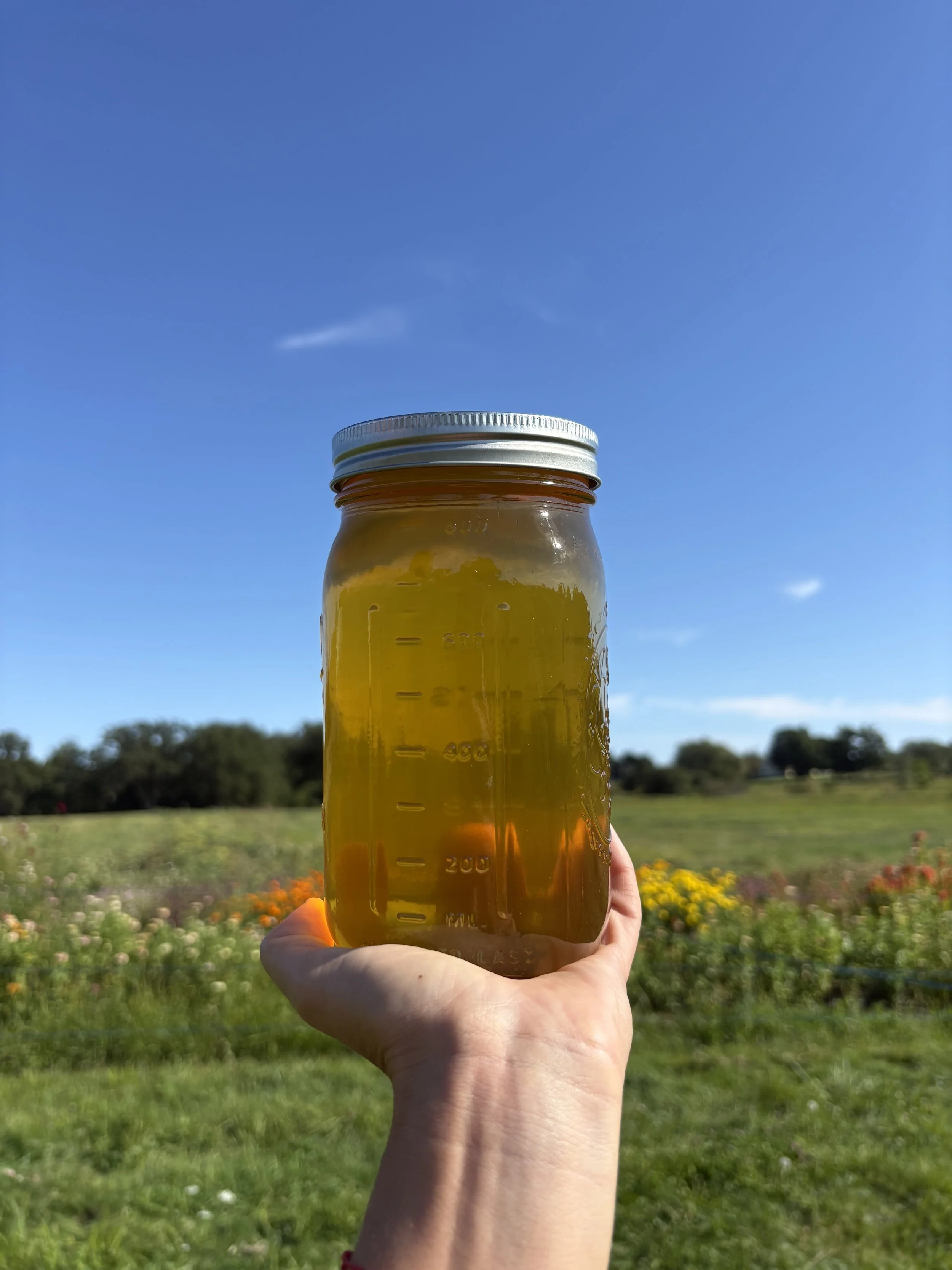 honey side view.jpg