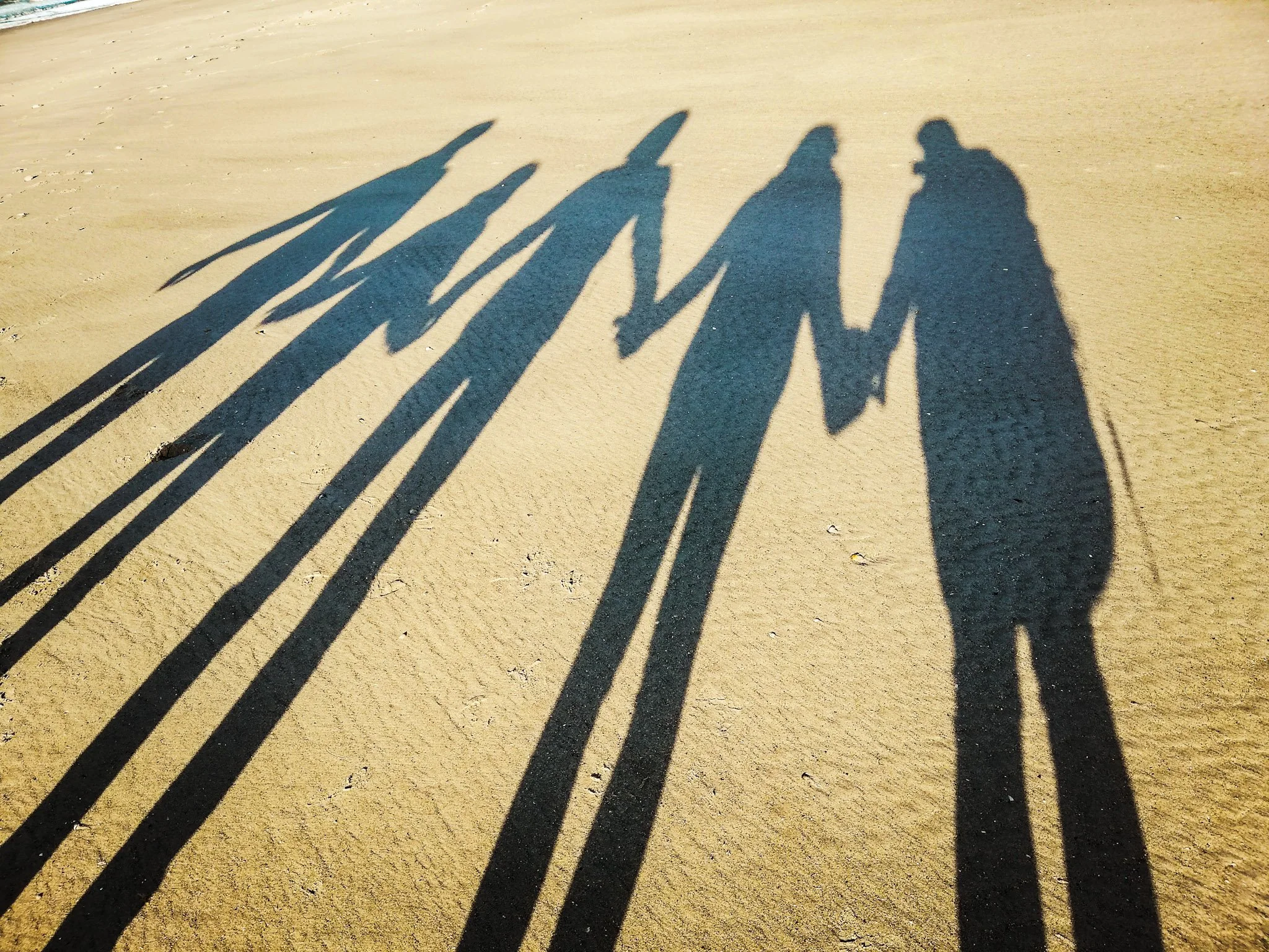Silhouettes of a family, including two adults and three children, holding hands during sunset in a grassy field.
