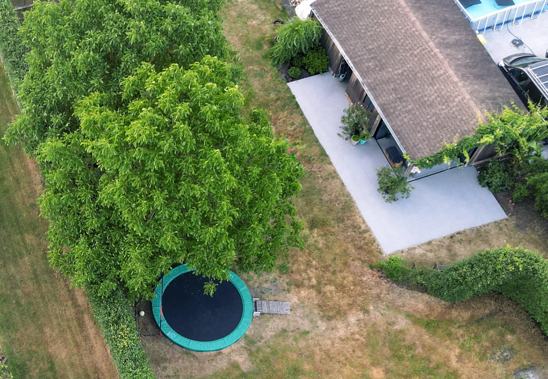 A backyard view from above featuring a large leafy green tree, a trampoline, a concrete patio, a house with a brown shingle roof, and a parked car.