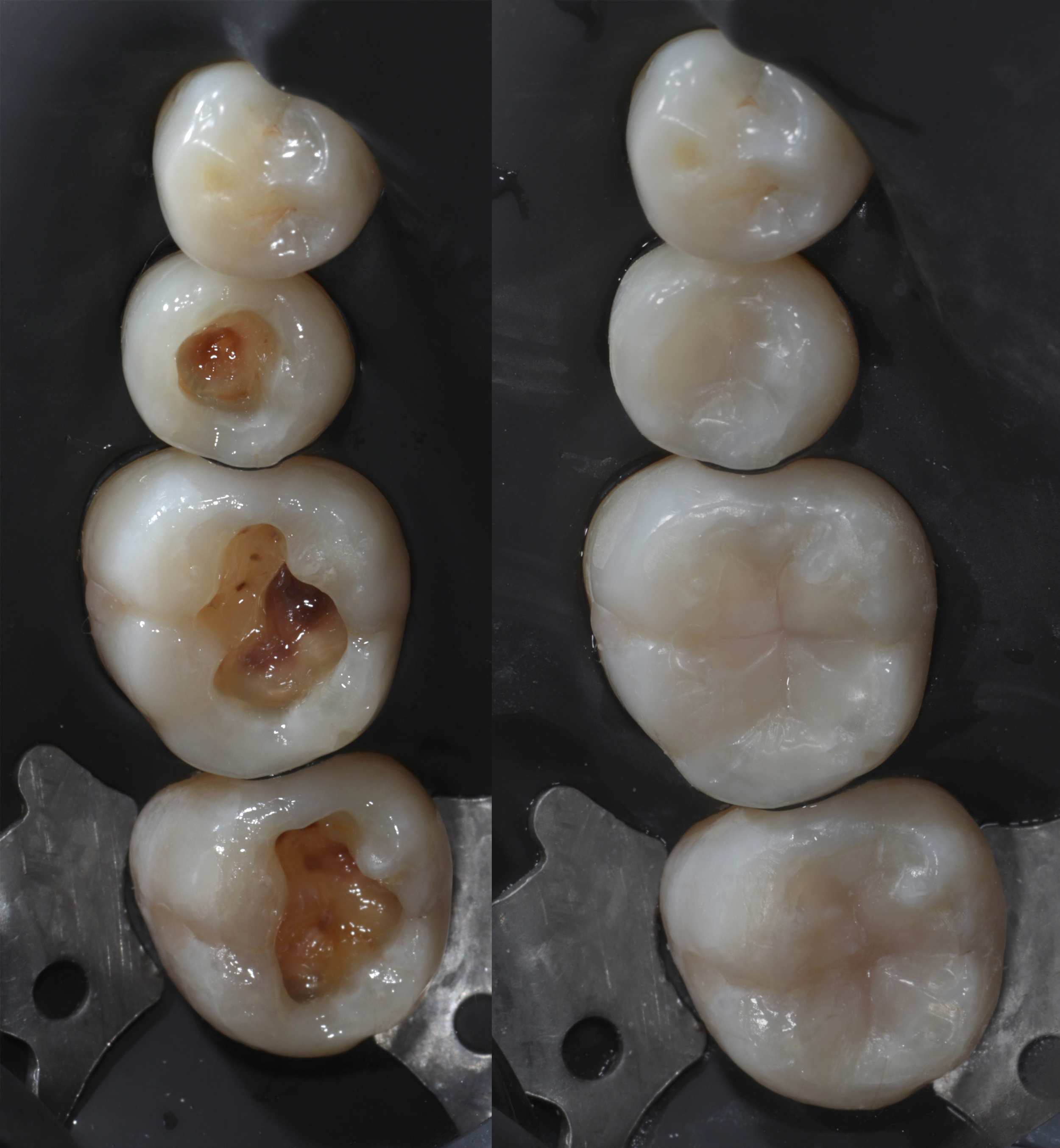 Dentistica.png